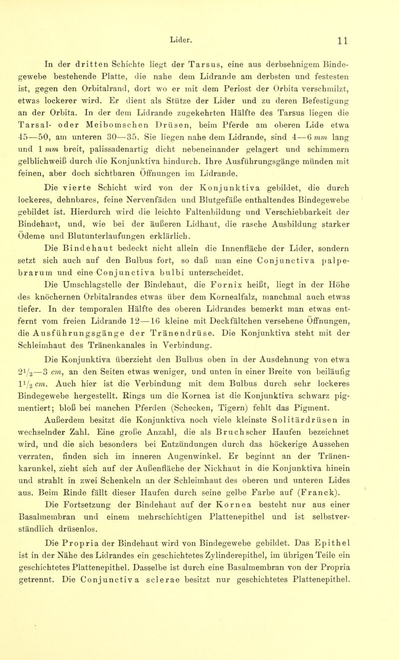 In der dritten Schichte liegt der Tarsus, eine aus derbsehnigem Binde- gewebe bestehende Platte, die nahe dem Lidrande am derbsten und festesten ist, gegen den Orbitalrand, dort wo er mit dem Periost der Orbita verschmilzt, etwas lockerer wird. Er dient als Stütze der Lider und zu deren Befestigung an der Orbita. In der dem Lidrande zugekehrten Hälfte des Tarsus liegen die Tarsal- oder Meibomschen Drüsen, beim Pferde am oberen Lide etwa 45—50, am unteren 30—35. Sie liegen nahe dem Lidrande, sind 4—6 mm lang und 1 mm breit, palissadenartig dicht nebeneinander gelagert und schimmern gelblichweiß durch die Konjunktiva hindurch. Ihre Ausführungsgänge münden mit feinen, aber doch sichtbaren Öffnungen im Lidrande. Die vierte Schicht wird von der Konjunktiva gebildet, die durch lockeres, dehnbares, feine Nervenfäden und Blutgefäße enthaltendes Bindegewebe gebildet ist. Hierdurch wird die leichte Faltenbildung und Verschiebbarkeit der Bindehaut, und, wie bei der äußeren Lidhaut, die rasche Ausbildung starker Ödeme und Blutunterlaufungen erklärlich. Die Bindehaut bedeckt nicht allein die Innenfläche der Lider, sondern setzt sich auch auf den Bulbus fort, so daß man eine Conjunctiva palpe- brarum und eine Conjunctiva bulbi unterscheidet. Die Umschlagstelle der Bindehaut, die Fornix heißt, liegt in der Höhe des knöchernen Orbitalrandes etwas über dem Kornealfalz, manchmal auch etwas tiefer. In der temporalen Hälfte des oberen Lidrandes bemerkt man etwas ent- fernt vom freien Lidrande 12—16 kleine mit Deckfältchen versehene Öffnungen, die Ausführungsgänge der Tränendrüse. Die Konjunktiva steht mit der Schleimhaut des Tränenkanales in Verbindung. Die Konjunktiva überzieht den Bulbus oben in der Ausdehnung von etwa 2Va—3 cm, an den Seiten etwas weniger, und unten in einer Breite von beiläufig I1/2 cm. Auch hier ist die Verbindung mit dem Bulbus durch sehr lockeres Bindegewebe hergestellt. Rings um die Kornea ist die Konjunktiva schwarz pig- mentiert; bloß bei manchen Pferden (Schecken, Tigern) fehlt das Pigment. Außerdem besitzt die Konjunktiva noch viele kleinste Solitärdrüsen in wechselnder Zahl. Eine große Anzahl, die als Bruch scher Haufen bezeichnet wird, und die sich besonders bei Entzündungen durch das höckerige Aussehen verraten, finden sich im inneren Augenwinkel. Er beginnt an der Tränen- karunkel, zieht sich auf der Außenfläche der Nickhaut in die Konjunktiva hinein und strahlt in zwei Schenkeln an der Schleimhaut des oberen und unteren Lides aus. Beim Rinde fällt dieser Haufen durch seine gelbe Farbe auf (Franck). Die Fortsetzung der Bindehaut auf der Kornea besteht nur aus einer Basalmembran und einem mehrschichtigen Plattenepithel und ist selbstver- ständlich drüsenlos. Die Propria der Bindehaut wird von Bindegewebe gebildet. Das Epithel ist in der Nähe des Lidrandes ein geschichtetes Zylinderepithel, im übrigen Teile ein geschichtetes Plattenepithel. Dasselbe ist durch eine Basalmembran von der Propria getrennt. Die Conjunctiva sclerae besitzt nur geschichtetes Plattenepithel.