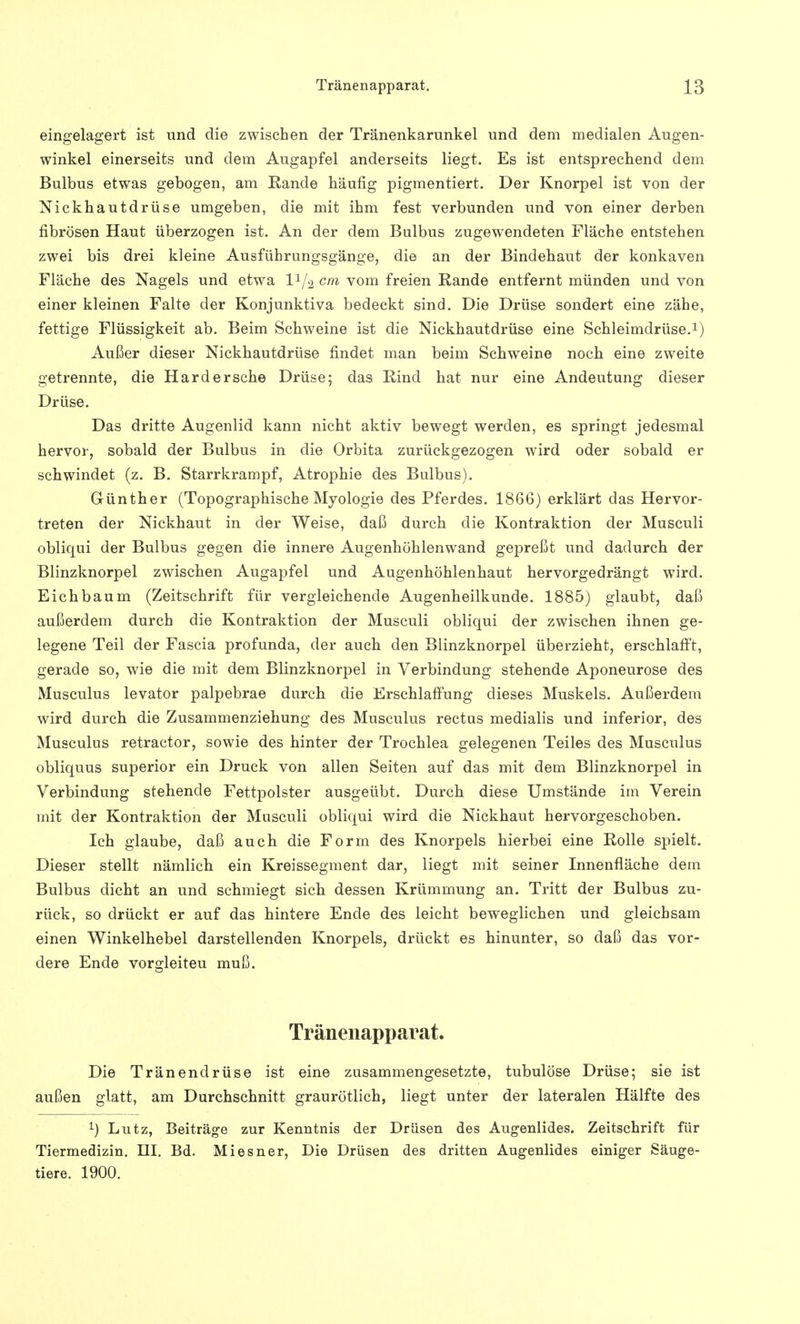 eingelagert ist und die zwischen der Tränenkarunkel und dem medialen Augen- winkel einerseits und dem Augapfel anderseits liegt. Es ist entsprechend dem Bulbus etwas gebogen, am Rande häufig pigmentiert. Der Knorpel ist von der Nickhautdrüse umgeben, die mit ihm fest verbunden und von einer derben fibrösen Haut überzogen ist. An der dem Bulbus zugewendeten Fläche entstehen zwei bis drei kleine Ausführungsgänge, die an der Bindehaut der konkaven Fläche des Nagels und etwa IV2 cm vom freien Rande entfernt münden und von einer kleinen Falte der Konjunktiva bedeckt sind. Die Drüse sondert eine zähe, fettige Flüssigkeit ab. Beim Schweine ist die Nickhautdrüse eine Schleimdrüse.1) Außer dieser Nickhautdrüse findet man beim Schweine noch eine zweite getrennte, die Hardersehe Drüse; das Rind hat nur eine Andeutung dieser Drüse. Das dritte Augenlid kann nicht aktiv bewegt werden, es springt jedesmal hervor, sobald der Bulbus in die Orbita zurückgezogen wird oder sobald er schwindet (z. B. Starrkrampf, Atrophie des Bulbus). Günther (Topographische Myologie des Pferdes. 1866) erklärt das Hervor- treten der Nickhaut in der Weise, daß durch die Kontraktion der Musculi obliqui der Bulbus gegen die innere Augenhöhlenwand gepreßt und dadurch der Blinzknorpel zwischen Augapfel und Augenhöhlenhaut hervorgedrängt wird. Eich bäum (Zeitschrift für vergleichende Augenheilkunde. 1885) glaubt, daß außerdem durch die Kontraktion der Musculi obliqui der zwischen ihnen ge- legene Teil der Fascia profunda, der auch den Blinzknorpel überzieht, erschlafft, gerade so, wie die mit dem Blinzknorpel in Verbindung stehende Aponeurose des Musculus levator palpebrae durch die Erschlaffung dieses Muskels. Außerdem wird durch die Zusammenziehung des Musculus rectus medialis und inferior, des Musculus retractor, sowie des hinter der Trochlea gelegenen Teiles des Musculus obliquus superior ein Druck von allen Seiten auf das mit dem Blinzknorpel in Verbindung stehende Fettpolster ausgeübt. Durch diese Umstände im Verein mit der Kontraktion der Musculi obliqui wird die Nickhaut hervorgeschoben. Ich glaube, daß auch die Form des Knorpels hierbei eine Rolle spielt. Dieser stellt nämlich ein Kreissegment dar, liegt mit seiner Innenfläche dem Bulbus dicht an und schmiegt sich dessen Krümmung an. Tritt der Bulbus zu- rück, so drückt er auf das hintere Ende des leicht beweglichen und gleichsam einen Winkelhebel darstellenden Knorpels, drückt es hinunter, so daß das vor- dere Ende vorgleiteu muß. Tränenapparat. Die Tränendrüse ist eine zusammengesetzte, tubulöse Drüse; sie ist außen glatt, am Durchschnitt graurötlich, liegt unter der lateralen Hälfte des *■) Lutz, Beiträge zur Kenntnis der Drüsen des Augenlides. Zeitschrift für Tiermedizin. HI. Bd. Miesner, Die Drüsen des dritten Augenlides einiger Säuge- tiere. 1900.