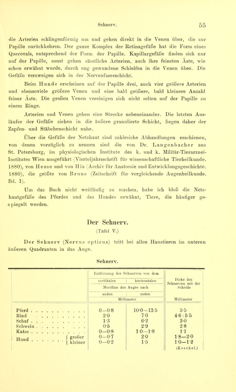 die Arterien schlingenförmig um und gehen direkt in die Venen über, die zur Papille zurückkehren. Der ganze Komplex der Retinagefäße hat die Form eines Querovals, entsprechend der Form der Papille. Kapillargefäße finden sich nur auf der Papille, sonst gehen sämtliche Arterien, auch ihre feinsten Aste, wie schon erwähnt wurde, durch eng gewundene Schleifen in die Venen über. Die Gefäße verzweigen sich in der Nervenfaserschicht. Beim Hunde erscheinen auf der Papille drei, auch vier größere Arterien und ebensoviele größere Venen und eine bald größere, bald kleinere Anzahl feiner Aste. Die großen Venen vereinigen sich nicht selten auf der Papille zu einem Ringe. Arterien und Venen gehen eine Strecke nebeneinander. Die letzten Aus- läufer der Gefäße ziehen in die äußere granulierte Schicht, liegen daher der Zapfen- und Stäbchenschicht nahe. Uber die Gefäße der Netzhaut sind zahlreiche Abhandlungen erschienen, von denen vorzüglich zu nennen sind die von Dr. Langenbacher aus St. Petersburg, im physiologischen Institute des k. und k. Militär-Tierarznei- Institutes Wien ausgeführt (Vierteljahrsschrift für wissenschaftliche Tierheilkunde. 1880), von Hesse und von His (Archiv für Anatomie und Entwicklungsgeschichte. 1880), die größte von Bruns (Zeitschrift für vergleichende Augenheilkunde. Bd. I). Um das Buch nicht weitläufig zu machen, habe ich bloß die Netz- hautgefäße des Pferdes und des Hundes erwähnt, Tiere, die häufiger ge- s piegelt werden. Der Sehnerv. (Tafel V.) Der Sehnerv (Nervus opticus) tritt bei allen Haustieren im unteren äußeren Quadranten in das Auge. Sehnerv. Entfernung des Selmerven von dem Dicke des Sehnerven mit der Scheide vertikalen horizontalen Meridian des Auges nach außen unten Millimeter Millimeter Pferd Schaf Hund ( ?™ßer \ kleiner 0-08 2-0 1-3 0-5 0-0-8 0-0-7 0-0-2 100-135 70 6-2 29 10-1-8 20 1-5 5-5 4-6:5 5 30 28 IT 1-8—20 ! 10—12 (Koschel.)
