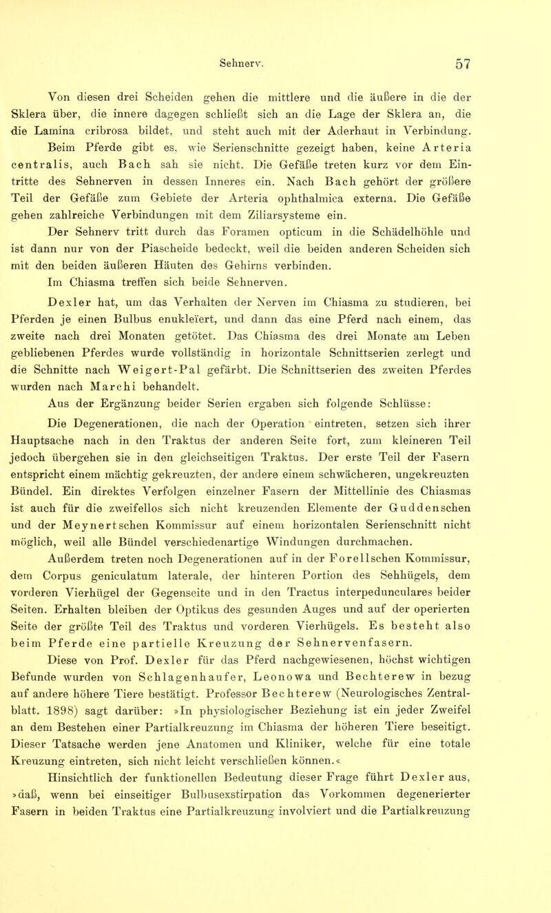 Von diesen drei Scheiden gehen die mittlere und die äußere in die der Sklera über, die innere dagegen schließt sich an die Lage der Sklera an, die die Lamina cribrosa bildet, und steht auch mit der Aderhaut in Verbindung. Beim Pferde gibt es, wie Serienschnitte gezeigt haben, keine Arteria centralis, auch Bach sah sie nicht. Die Gefäße treten kurz vor dem Ein- tritte des Sehnerven in dessen Inneres ein. Nach Bach gehört der größere Teil der Gefäße zum Gebiete der Arteria ophthalmica externa. Die Gefäße gehen zahlreiche Verbindungen mit dem Ziliarsysteme ein. Der Sehnerv tritt durch das Foramen opticum in die Schädelhöhle und ist dann nur von der Piascheide bedeckt, weil die beiden anderen Scheiden sich mit den beiden äußeren Häuten des Gehirns verbinden. Im Chiasma treffen sich beide Sehnerven. Dexler hat, um das Verhalten der Nerven im Chiasma zu studieren, bei Pferden je einen Bulbus enukleiert, und dann das eine Pferd nach einem, das zweite nach drei Monaten getötet. Das Chiasma des drei Monate am Leben gebliebenen Pferdes wurde vollständig in horizontale Schnittserien zerlegt und die Schnitte nach Weigert-Pal gefärbt. Die Schnittserien des zweiten Pferdes wurden nach Marchi behandelt. Aus der Ergänzung beider Serien ergaben sich folgende Schlüsse: Die Degenerationen, die nach der Operation eintreten, setzen sich ihrer Hauptsache nach in den Traktus der anderen Seite fort, zum kleineren Teil jedoch übergehen sie in den gleichseitigen Traktus. Der erste Teil der Fasern entspricht einem mächtig gekreuzten, der andere einem schwächeren, ungekreuzten Bündel. Ein direktes Verfolgen einzelner Fasern der Mittellinie des Chiasmas ist auch für die zweifellos sich nicht kreuzenden Elemente der Guddenschen und der Meynertsehen Kommissur auf einem horizontalen Serienschnitt nicht möglich, weil alle Bündel verschiedenartige Windungen durchmachen. Außerdem treten noch Degenerationen auf in der Forellschen Kommissur, dem Corpus geniculatum laterale, der hinteren Portion des Sehhügels, dem vorderen Vierhügel der Gegenseite und in den Tractus interpeduneulares beider Seiten. Erhalten bleiben der Optikus des gesunden Auges und auf der operierten Seite der größte Teil des Traktus und vorderen Vierhügels. Es besteht also beim Pferde eine partielle Kreuzung der Sehnervenfasern. Diese von Prof. Dexler für das Pferd nachgewiesenen, höchst wichtigen Befunde wurden von Schlagenh auf er, Leonowa und Bechterew in bezug auf andere höhere Tiere bestätigt. Professor Bechterew (Neurologisches Zentral- blatt. 1898) sagt darüber: »In physiologischer Beziehung ist ein jeder Zweifel an dem Bestehen einer Partialkreuzung im Chiasma der höheren Tiere beseitigt. Dieser Tatsache werden jene Anatomen und Kliniker, welche für eine totale Kreuzung eintreten, sich nicht leicht verschließen können.« Hinsichtlich der funktionellen Bedeutung dieser Frage führt Dexler aus, »daß, wenn bei einseitiger Bulbusexstirpation das Vorkommen degenerierter Fasern in beiden Traktus eine Partialkreuzung involviert und die Partialkreuzung