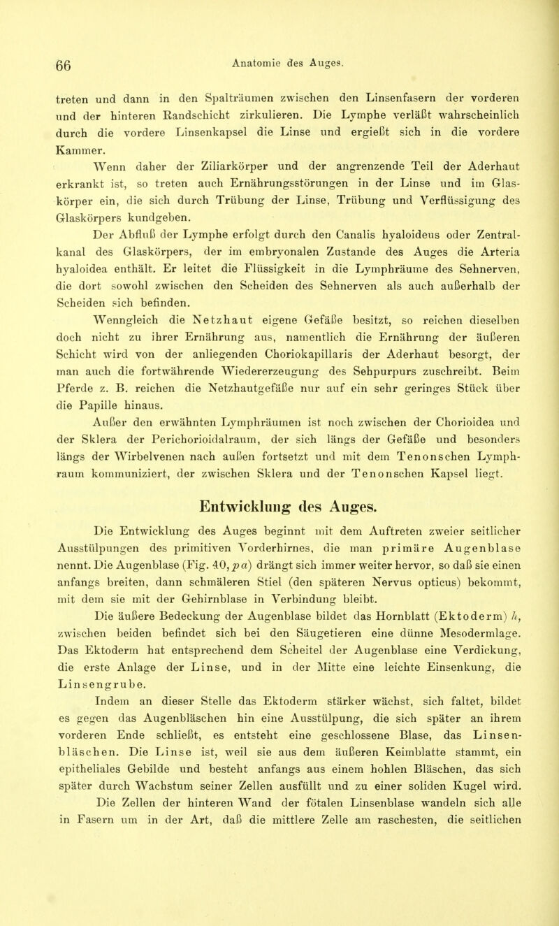 treten und dann in den Spalträumen zwischen den Linsenfasern der vorderen und der hinteren Randschicht zirkulieren. Die Lymphe verläßt wahrscheinlich durch die vordere Linsenkapsel die Linse und ergießt sich in die vordere Kammer. Wenn daher der Ziliarkörper und der angrenzende Teil der Aderhaut erkrankt ist, so treten auch Ernährungsstörungen in der Linse und im Glas- körper ein, die sich durch Trübung der Linse, Trübung und Verflüssigung des Glaskörpers kundgeben. Der Abfluß der Lymphe erfolgt durch den Canalis hyaloideus oder Zentral- kanal des Glaskörpers, der im embryonalen Zustande des Auges die Arteria hyaloidea enthält. Er leitet die Flüssigkeit in die Lymphräume des Sehnerven, die dort sowohl zwischen den Scheiden des Sehnerven als auch außerhalb der Scheiden sich befinden. Wenngleich die Netzhaut eigene Gefäße besitzt, so reichen dieselben doch nicht zu ihrer Ernährung aus, namentlich die Ernährung der äußeren Schicht wird von der anliegenden Choriokapillaris der Aderhaut besorgt, der man auch die fortwährende Wiedererzeugung des Sehpurpurs zuschreibt. Beim Pferde z. B. reichen die Netzhautgefäße nur auf ein sehr geringes Stück über die Papille hinaus. Außer den erwähnten Lymphräumen ist noch zwischen der Chorioidea und der Sklera der Perichorioidalraum, der sich längs der Gefäße und besonders längs der Wirbelvenen nach außen fortsetzt und mit dem Tenonschen Lymph- raum kommuniziert, der zwischen Sklera und der Tenonschen Kapsel liegt. Entwicklung des Auges. Die Entwicklung des Auges beginnt mit dem Auftreten zweier seitlicher Ausstülpungen des primitiven Yorderhirnes, die man primäre Augenblase nennt. Die Augenblase (Fig. 40, pa) drängt sich immer weiter hervor, so daß sie einen anfangs breiten, dann schmäleren Stiel (den späteren Nervus opticus) bekommt, mit dem sie mit der Gehirnblase in Verbindung bleibt. Die äußere Bedeckung der Augenblase bildet das Hornblatt (Ektoderm) h, zwischen beiden befindet sich bei den Säugetieren eine dünne Mesodermlage. Das Ektoderm hat entsprechend dem Scheitel der Augenblase eine Verdickung, die erste Anlage der Linse, und in der Mitte eine leichte Einsenkung, die Linsengrube. Indem an dieser Stelle das Ektoderm stärker wächst, sich faltet, bildet es gegen das Augenbläschen hin eine Ausstülpung, die sich später an ihrem vorderen Ende schließt, es entsteht eine geschlossene Blase, das Linsen- bläschen. Die Linse ist, weil sie aus dem äußeren Keimblatte stammt, ein epitheliales Gebilde und besteht anfangs aus einem hohlen Bläschen, das sich später durch Wachstum seiner Zellen ausfüllt und zu einer soliden Kugel wird. Die Zellen der hinteren Wand der fötalen Linsenblase wandeln sich alle in Fasern um in der Art, daß die mittlere Zelle am raschesten, die seitlichen