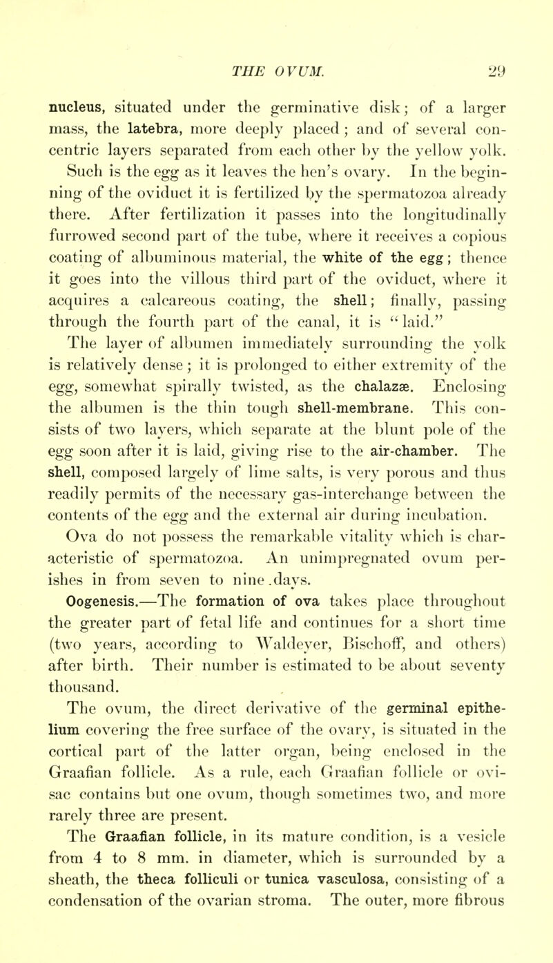 nucleus, situated under the germinative disk; of a larger mass, the latebra, more deeply placed; and of several con- centric layers separated from each other by the yellow yolk. Such is the egg as it leaves the hen's ovary. In the begin- ning of the oviduct it is fertilized by the spermatozoa already there. After fertilization it passes into the longitudinally furrowed second part of the tube, where it receives a copious coating of albuminous material, the white of the egg; thence it goes into the villous third part of the oviduct, where it acquires a calcareous coating, the shell; finally, passing through the fourth part of the canal, it is  laid. The layer of albumen immediately surrounding the yolk is relatively dense; it is prolonged to either extremity of the egg, somewhat spirally twisted, as the chalazse. Enclosing the albumen is the thin tough shell-membrane. This con- sists of two layers, which separate at the blunt pole of the egg soon after it is laid, giving rise to the air-chamber. The shell, composed largely of lime salts, is very porous and thus readily permits of the necessary gas-interchange between the contents of the egg and the external air during incubation. Ova do not possess the remarkable vitality which is char- acteristic of spermatozoa. An unimpregnated ovum per- ishes in from seven to nine.days. Oogenesis.—The formation of ova takes place throughout the greater part of fetal life and continues for a short time (two years, according to Waldeyer, BischotF, and others) after birth. Their number is estimated to be about seventy thousand. The ovum, the direct derivative of the germinal epithe- lium covering the free surface of the ovary, is situated in the cortical part of the latter organ, being enclosed in the Graafian follicle. As a rule, each Graafian follicle or ovi- sac contains but one ovum, though sometimes two, and more rarely three are present. The Graafian follicle, in its mature condition, is a vesicle from 4 to 8 mm. in diameter, which is surrounded by a sheath, the theca folliculi or tunica vasculosa, consisting of a condensation of the ovarian stroma. The outer, more fibrous