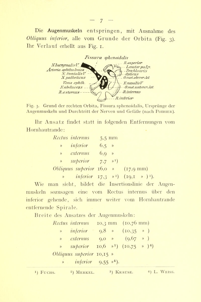 Die Augenmuskeln entspringen, mit Ausnahme des Ohliqum inferior, alle vom Grunde der Orbita (Fig. 3). Ihr Verlauf erhellt aus Fig. i. Fig. 3. Grund der rechten Orbita, Fissura sphenoidalis, Ursprünge der Augenmuskeln und Durchtritt der Nerven und Gefäße (nach Poirier). Ihr Ansatz findet statt in folgenden Entfernungen vom Hornliautrande: Wie man sieht, bildet die Insertionslinie der Augen- muskeln sozusagen eine vom Rectus internus über den inferior gehende, sich immer weiter vom Hornhautrande entfernende Spirale. Breite des Ansatzes der Augenmuskeln: ^iteviu ophtjuibniat^j Vena ophüt. _ N.eibchiceus - - J H. e.vtcrmis N. frvnlalis V - 1^ paiJieiiciis Rcctiis internus 5,5 mm » inferior 6,5 » » externus 6,g » » superior y,y »^) Obliquus superior 16,0 » (17,9 mm) » inferior 17,3 »-) (19,1 » ) Rectus internus 10,3 mm » inferior 9.8 » » externus 9,0 » » superior 10,6 »i) (10,76 mm) (10,35 » ) (9,67 » ) (10,75 » )*) Obliquus superior 10,15 » » . inferior 9,55 »^)