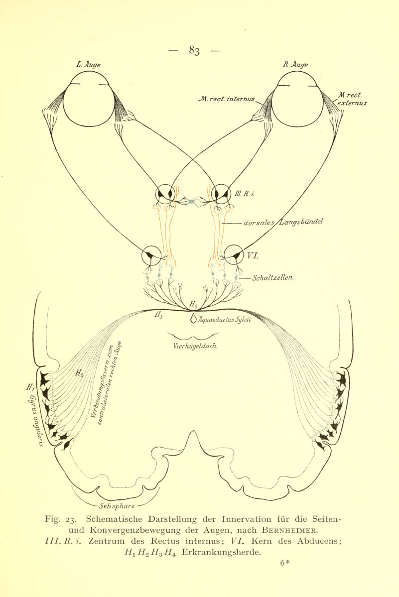 L. Augre R Äu(/e Sehsphäre Fig. 23. Schematische Darstellung der Innervation für die Seiten- und Konvergenzbewegung der Augen, nach Bernheimer. III. R. i. Zentrum des Rectus internus; VI. Kern des Abducens H2 Erkrankungsherde. 6*