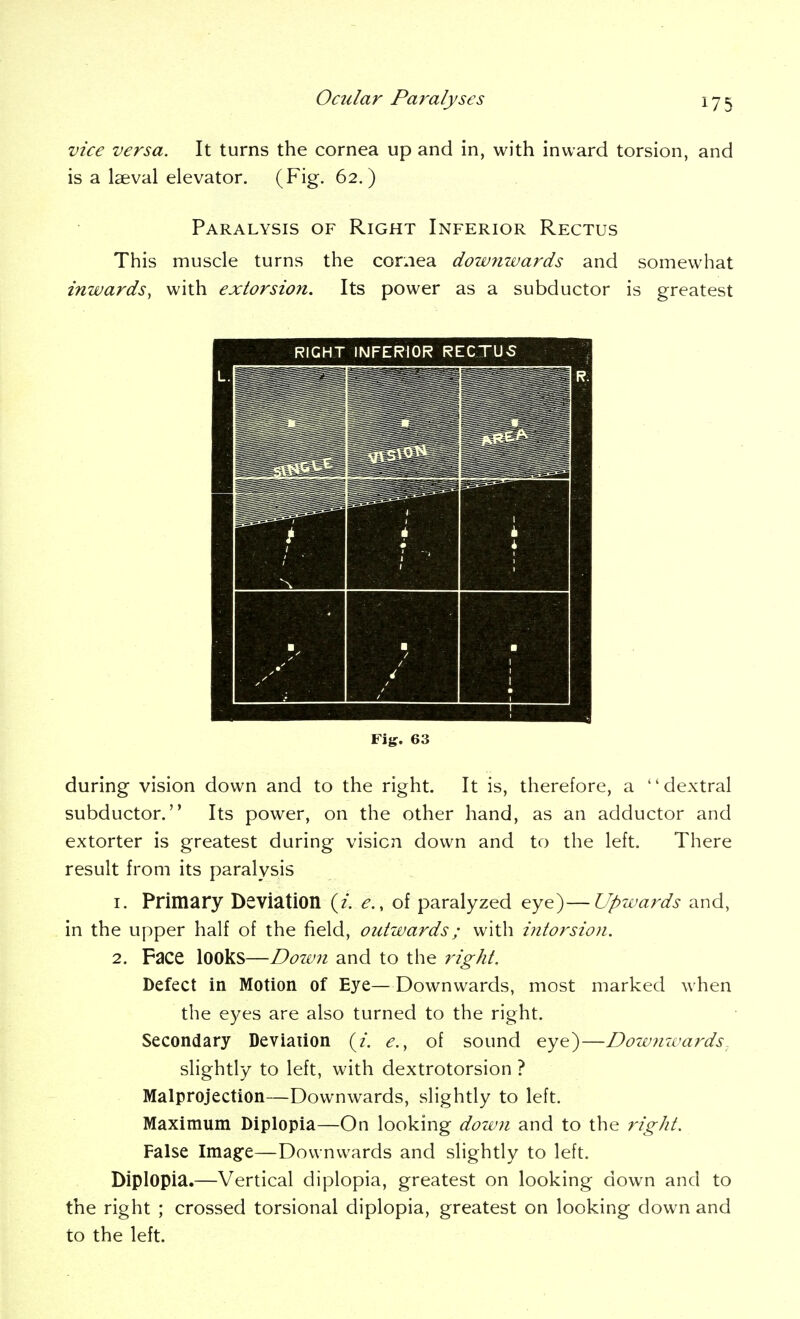 vice versa. It turns the cornea up and in, with inward torsion, and is a laeval elevator. (Fig. 62.) Paralysis of Right Inferior Rectus This muscle turns the cornea downzvards and somewhat inwards, with exiorsion. Its power as a subductor is greatest RIGHT INFERIOR RECTU5 ^^^^ ■ > ■ / ■ 1 Fig. 63 during vision down and to the right. It is, therefore, a  dextral subductor. Its power, on the other hand, as an adductor and extorter is greatest during vision down and to the left. There result from its paralysis 1. Primary Deviation {i. e., of paralyzed eye)—Upwaj^ds and, in the upper half of the field, outwards; with intorsion. 2. Face looks—Down and to the right. Defect in Motion of Eye—Downwards, most marked when the eyes are also turned to the right. Secondary Deviation (z. e., of sound eye)—Dowmuards slightly to left, with dextrotorsion ? Malprojection—Downwards, slightly to left. Maximum Diplopia—On looking dow?i and to the right. False Ima§:e—Downwards and slightly to left. Diplopia.—Vertical diplopia, greatest on looking down and to the right ; crossed torsional diplopia, greatest on looking down and to the left.