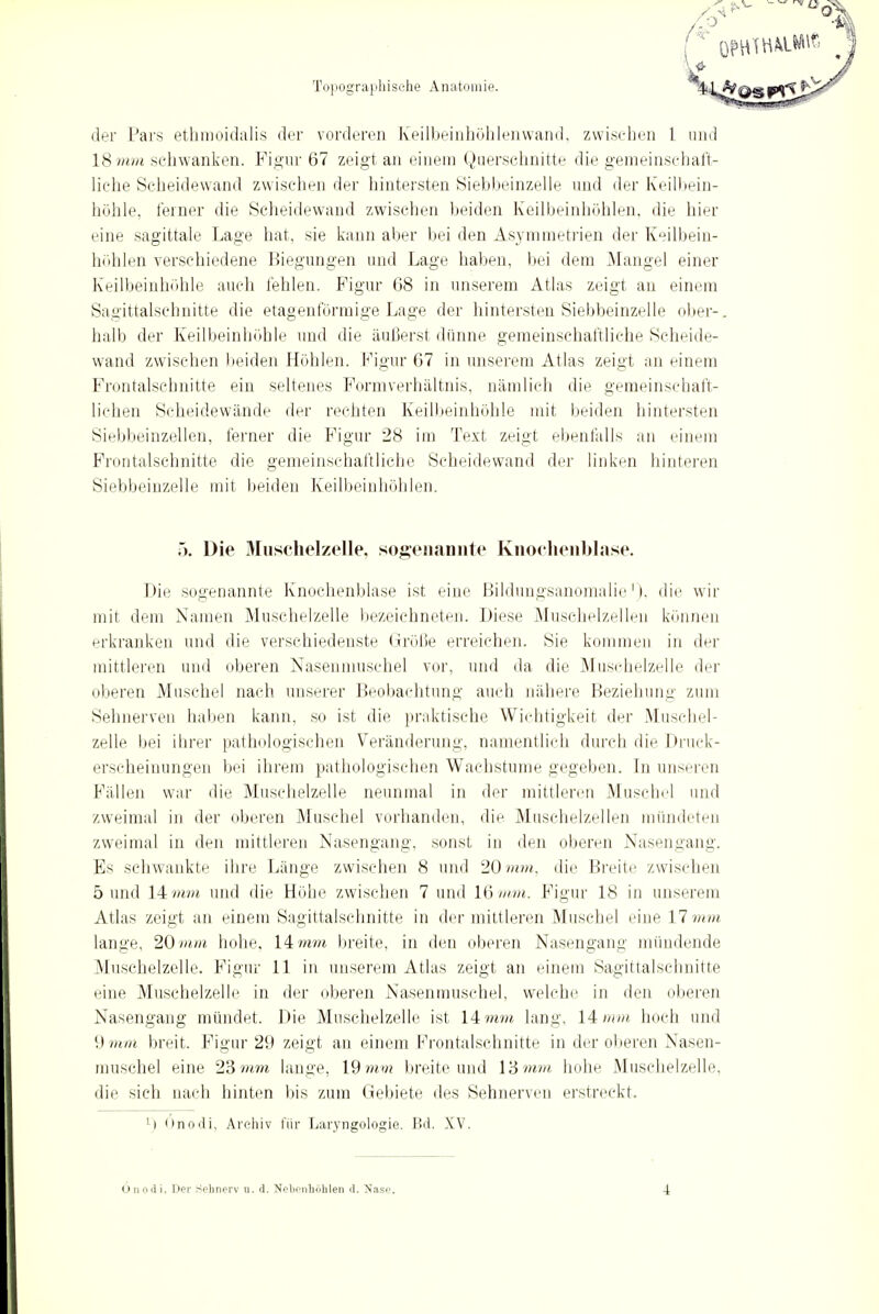 der Pars ethmoidalis der vorderen Keilbeinhöhlenwand, zwischen l und 18 mm schwanken. Figur 67 zeigt an einem Querschnitte die gemeinschaft- liehe Scheidewand zwischen der hintersten Siebbeinzelle und der Keilbein- höhle, ferner die Scheidewand zwischen beiden Keilbeinhöhlen, die hier eine sagittale Lage hat, sie kann aber bei den Asymmetrien der Keilbein- höhlen verschiedene Biegungen und Lage haben, bei dem Mangel einer Keilbeinhohle auch fehlen. Figur 68 in unserem Atlas zeigt an einem Sagittalsehnitte die etagenförmige Lage der hintersten Siebbeinzelle ober-, halb der Keilbeinhohle und die äußerst dünne gemeinschaftliche Scheide- wand zwischen beiden Höhlen. Figur 67 in unserem Atlas zeigt an einem Frontalschnitte ein seltenes Formverhältnis, nämlich die gemeinschaft- lichen Scheidewände der rechten Keilbeinhöhle mit beiden hintersten Siebbeinzellen, ferner die Figur 28 im Text zeigt ebenfalls an einem Frontalschnitte die gemeinschaftliche Scheidewand der linken hinteren Siebbeinzelle mit beiden Keilbeinhöhlen. 5. Die Muschelzelle, sogenannte Knochenblase. Die sogenannte Knochenblase ist eine Bildungsanomalie1), die wir mit dem Namen Muschelzelle bezeichneten. Diese Musehelzellen können erkranken und die verschiedenste Größe erreichen. Sie kommen in der mittleren und oberen Nasenniuschel vor, und da die Muschelzelle der oberen Muschel nach unserer Beobachtung auch nähere Beziehung zum Sehnerven haben kann, so ist die praktische Wichtigkeit der Muschel- zelle bei ihrer pathologischen Veränderung, namentlich durch die Druck- erscheinungen bei ihrem pathologischen Wachstume gegeben. In unseren Fällen war die Muschelzelle neunmal in der mittleren Muschel und zweimal in der oberen Muschel vorhanden, die Muschelzellen mündeten zweimal in den mittleren Nasengang, sonst in den oberen Nasengang. Es schwankte ihre Länge zwischen 8 und 20 mm, die Breite zwischen 5 und 14mm und die Höhe zwischen 7 und 16 mm. Figur 18 in unserem Atlas zeigt an einem Sagittalsehnitte in der mittleren Muschel eine 17 mm lange, 20 mm hohe, 14 mm breite, in den oberen Nasengang mündende Muschelzelle. Figur 11 in unserem Atlas zeigt an einem Sagittalsehnitte eine Muschelzelle in der oberen Nasenmuschel, welche in den oberen Nasengang mündet. Die Muschelzelle ist 14 mm lang, 14 mm hoch und 9 mm breit. Figur 29 zeigt an einem Frontalschnitte in der oberen Nasen- muschel eine 23mm lange, 19 mm breite und l'Smm hohe Muschelzelle, die sich nach hinten bis zum Gebiete des Sehnerven erstreckt. L) Onoili, Archiv für Laryngologie. Bd. XV.