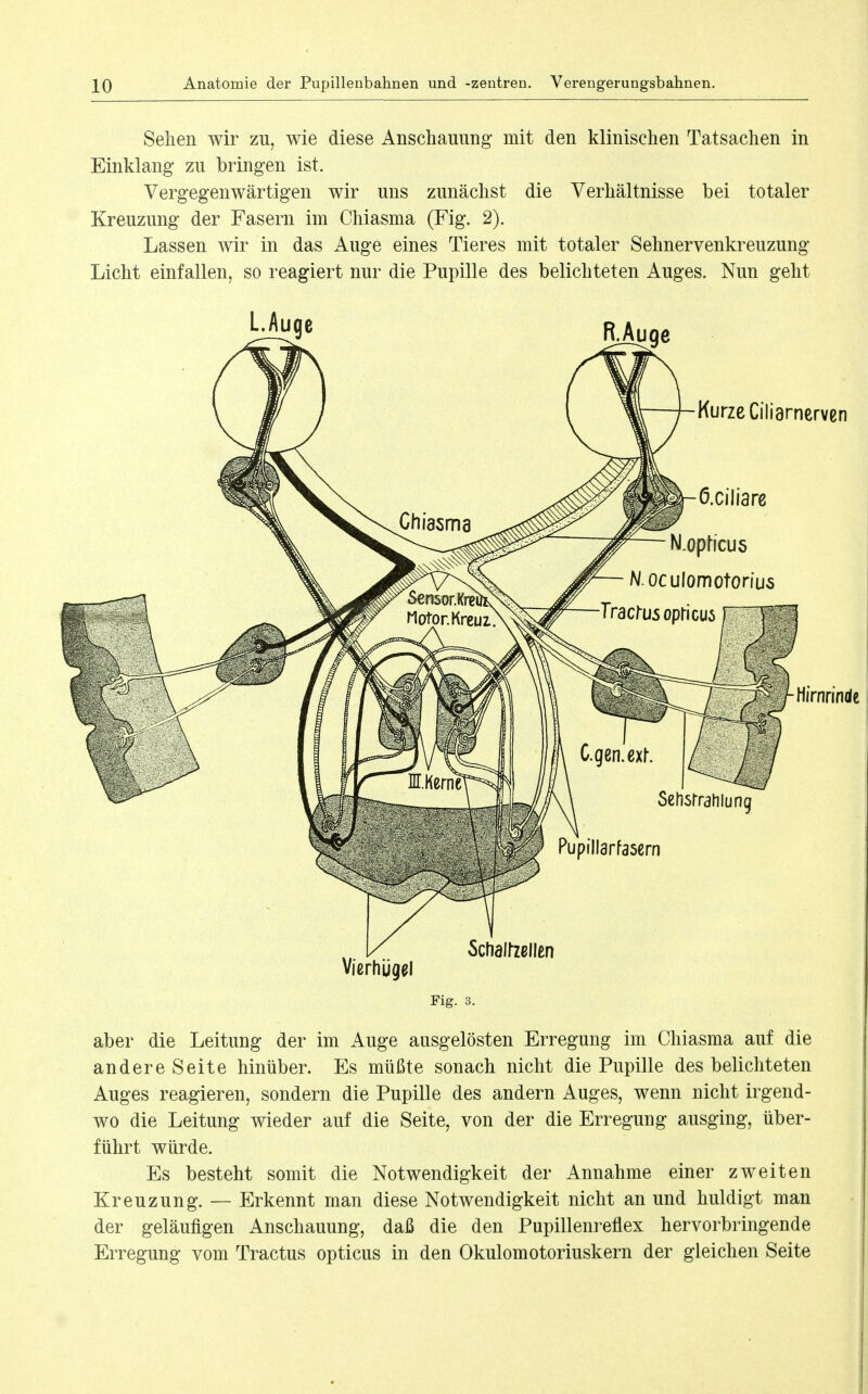 Sehen wir zu, wie diese Anschauimg' mit den klinischen Tatsachen in Einklang zu bringen ist. Vergegenwärtigen wir uns zunächst die Verhältnisse bei totaler Kreuzung der Fasern im Chiasma (Fig. 2). Lassen wir in das Auge eines Tieres mit totaler Sehnervenkreuzung Licht einfallen, so reagiert nur die Pupille des belichteten Auges. Nun geht L.Auge R.Auge Kurze Ciliarnerven ö.ciliarc Hirnrinde Vierhjjgei Schalliellen Fig. 3. aber die Leitung der im Auge ausgelösten Erregung im Chiasma auf die andere Seite hinüber. Es müßte sonach nicht die Pupille des belichteten Auges reagieren, sondern die Pupille des andern Auges, wenn nicht irgend- wo die Leitung wieder auf die Seite, von der die Erregung ausging, über- führt würde. Es besteht somit die Notwendigkeit der Annahme einer zweiten Kreuzung. — Erkennt man diese Notwendigkeit nicht an und huldigt man der geläufigen Anschauung, daß die den Pupillenreflex hervorbringende Erregung vom Tractus opticus in den Okulomotoriuskern der gleichen Seite