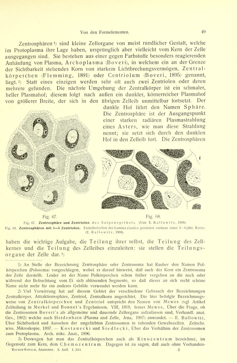 Zentrosphären') sind kleine Zellorgane von meist rundlicher Gestalt, welche im Protoplasma ihre Lage haben, ursprünglich aber vielleicht vom Kern der Zelle ausgegangen sind. Sie bestehen aus einer gegen Farbstoffe besonders reagierenden Anhäufung von Plasma, Archoplasma (Boveri), in welchem ein an der Grenze der Sichtbarkeit stehendes Korn von starkem Lichtbrechungsvermögen, Zentral- körperchen (Flemming, 1891) oder Centriolum (Boveri, 1895) genannt, liegt.-) Statt eines einzigen werden sehr oft auch zwei Zentriolen oder deren mehrere gefunden. Die nächste Umgebung der Zentralkörper ist ein schmaler, heller Plasmahof; diesem folgt nach außen ein dunkler, körnerreicher Plasmahof von größerer Breite, der sich in den übrigen Zelleib unmittelbar fortsetzt. Der dunkle Hof führt den Namen Sphäre. Die Zentrosphäre ist der Ausgangspunkt einer starken radiären Plasmastrahlung eines Asters, wie man diese Strahlung nennt; sie setzt sich durch den dunklen Hof in den Zelleib fort. Die Zentrosphären Fig. 67. Fig. 68. Fig. 67. Zentrosphäre und Zentriolen des Salpenepithels. (Von E. B a 11 o w i t z , 1898). Fig. 68. Zentrosphären mit 1—3 Zentriolen. Endotlielzellen der Lamina elastica posterior corneae einer 3—4 jähr. Katze. (E. Ballowitz, 1900). haben die wichtige Aufgabe, die Teilung ihrer selbst, die Teilung des Zell- kernes und die Teilung des Zelleibes einzuleiten: sie stellen die Teilungs- organe der Zelle dar.») 1) An Stelle der Bezeichnung Zentrosphäre oder Zentrosoma hat Rauber den Namen Pol- körperchen (Polosoma) vorgeschlagen, wobei er darauf hinweist, daß auch der Kern ein Zentrosoma der Zelle darstellt. Leider ist der Name Polkörperchen schon früher vergeben an die nach oder während der Befruchtung vom Ei sich ablösenden Segmente, so daß dieser an sich recht schöne Name nicht mehr für ein anderes Gebilde verwendet werden kann. 2) Viel Verwirrung hat auf diesem Gebiet der verschiedene Gebrauch der Bezeichnungen Zentralkörper, Attraktionssphäre, Zentriol, Zentralkorn angerichtet. Die hier befolgte Bezeichnungs- weise von Zentralkörperchen und Zentriol entspricht den Namen von Mewes (vgl Artikel Zellteilung in Merkel und Bonnet's Ergebnissen. VllI, 18S9, ferner Mewes, Über die Frage, ob die Zentrosomen Boveri's als allgemeine und dauernde Zellorgane aufzufassen sind, Verhandl. anat. Ges., 1902) welche auch Heidenhain (Plasma und Zelle, Jena, 1907) anwendet. — E. Ballowitz, Über Sichtbarkeit und Aussehen der ungefärbten Zentrosomen in ruhenden Gewebszellen. Zeitschr. wiss. Mikroskopie, 1897. — Kostanecki und Siedlecki, Über das Verhältnis der Zentrosomen zum Protoplasma. Arch. m.ikr. Anat., 1896. 3) Deswegen hat man das Zentralkörperchen auch als Kinozentrum bezeichnet, im Gegensatz zum Kern, dem Chemozentrum. Dagegen ist zu sagen, daß auch ohne Vorhanden- Rauber-Kopsch, Anatomie. 8. Aufl. I. Abt. 4