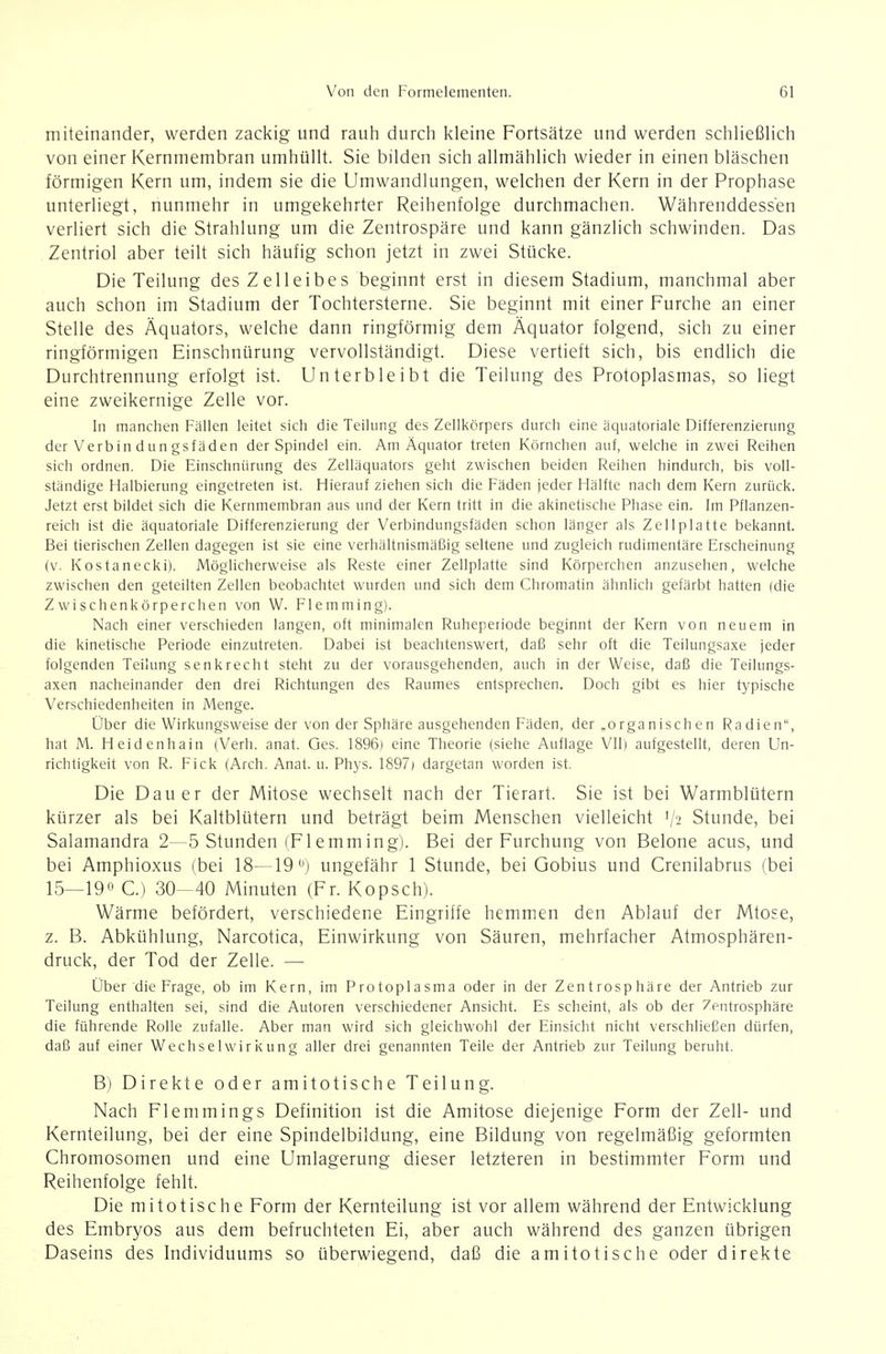 miteinander, werden zackig und rauh durch tcleine Fortsätze und werden schließlich von einer Kernmembran umhüllt. Sie bilden sich allmählich wieder in einen bläschen förmigen Kern um, indem sie die Umwandlungen, welchen der Kern in der Prophase unterliegt, nunmehr in umgekehrter Reihenfolge durchmachen. Währenddessen verliert sich die Strahlung um die Zentrospäre und kann gänzlich schwinden. Das Zentriol aber teilt sich häufig schon jetzt in zwei Stücke. Die Teilung des Z eil ei bes beginnt erst in diesem Stadium, manchmal aber auch schon im Stadium der Tochtersterne. Sie beginnt mit einer Furche an einer Stelle des Äquators, welche dann ringförmig dem Äquator folgend, sich zu einer ringförmigen Einschnürung vervollständigt. Diese vertieft sich, bis endlich die Durchtrennung erfolgt ist. Unterbleibt die Teilung des Protoplasmas, so liegt eine zweikernige Zelle vor. In manchen Fällen leitet sich die Teilung des Zellkörpers durch eine äquatoriale Differenzierung der Verbin d u n gsfäden der Spindel ein. Am Äquator treten Körnchen auf, welche in zwei Reihen sich ordnen. Die Einschnürung des Zelluquators geht zwischen beiden Reihen hindurch, bis voll- ständige Halbierung eingetreten ist. Hierauf ziehen sich die Fäden jeder Hälfte nach dem Kern zurück. Jetzt erst bildet sich die Kernmembran aus und der Kern tritt in die akinetische Phase ein. Im Pflanzen- reich ist die äquatoriale Differenzierung der Verbindungsfäden schon länger als Zellplatte bekannt. Bei tierischen Zellen dagegen ist sie eine verhältnismäßig seltene und zugleich rudimentäre Erscheinung (v. Kostanecki). Möglicherweise als Reste einer Zellplatte sind Körperchen anzusehen, welche zwischen den geteilten Zellen beobachtet wurden und sich dem Chromatin ähnlich gefärbt hatten (die Zwischenkörperchen von W. Flemming). Nach einer verschieden langen, oft minimalen Ruheperiode beginnt der Kern von neuem in die kinetische Periode einzutreten. Dabei ist beachtenswert, daß sehr oft die Teilungsaxe jeder folgenden Teilung senkrecht steht zu der vorausgehenden, auch in der Weise, daß die Teilungs- axen nacheinander den drei Richtungen des Raumes entsprechen. Doch gibt es hier typische Verschiedenheiten in Menge. Über die Wirkungsweise der von der Sphäre ausgehenden Fäden, der „organisch en Radien, hat M. Heidenhain (Verh. anat. Ges. 1896) eine Theorie {siehe Auflage VII) aufgestellt, deren Un- richtigkeit von R. Eick (Arch. Anat. u. Phys. 1897) dargetan worden ist. Die Dauer der Mitose wechselt nach der Tierart. Sie ist bei Warmblütern kürzer als bei Kaltblütern und beträgt beim Menschen vielleicht V2 Stunde, bei Salamandra 2—5 Stunden (Flemming). Bei der Furchung von Belone acus, und bei Amphioxus (bei 18—19*') ungefähr 1 Stunde, bei Gobius und Crenilabrus (bei 15—19 C.) 30—40 Minuten (Fr. Kopsch). Wärme befördert, verschiedene Eingriffe hemmen den Ablauf der Mtose, z. B. Abkühlung, Narcotica, Einwirkung von Säuren, mehrfacher Atmosphären- druck, der Tod der Zelle. —■ Über die Frage, ob im Kern, im Protoplasma oder in der Zentrosphäre der Antrieb zur Teilung enthalten sei, sind die Autoren verschiedener Ansicht. Es scheint, als ob der 7entrosphäre die führende Rolle zufalle. Aber man wird sich gleichwohl der Einsicht nicht verschließen dürfen, daß auf einer Wechselwirkung aller drei genannten Teile der Antrieb zur Teilung beruht. B) Direkte oder amitotische Teilung. Nach Flemmings Definition ist die Amitose diejenige Form der Zell- und Kernteilung, bei der eine Spindelbildung, eine Bildung von regelmäßig geformten Chromosomen und eine Umlagerung dieser letzteren in bestimmter Form und Reihenfolge fehlt. Die mitotische Form der Kernteilung ist vor allem während der Entwicklung des Embryos aus dem befruchteten Ei, aber auch während des ganzen übrigen Daseins des Individuums so überwiegend, daß die amitotische oder direkte