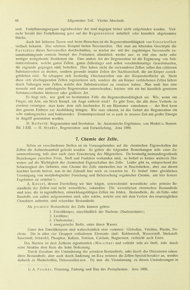 sind. Fortpflanzungsorgane irgendwelcher Art sind dagegen bisher nicht aufgefunden worden. Viel- mehr beruht ihre Fortpflanzung ganz auf der Regeneration natürlich oder künstlich abgetrennter Stücke. Auch bei höheren Tieren und beim Menschen ist die Regenerationsfähigkeit von Einzelzellen vielfach bekannt. Das schönste Beispiel bieten Nervenzellen. Hat man am lebenden Geschöpfe die Fortsätze dieser Nervenzellen durchschnitten, so wächst der mit der zugehörigen Nervenzelle zu- sammenhängende zentrale Stumpf des Fortsatzes allmählich wieder aus: es tritt eine mehr oder weniger weitgehende Restitution ein. Eine andere Art der Regeneration ist die Ergänzung von Sub- stanzverlusten, welche ganze Zellen, ganze Zellenlager und selbst verschiedenartige Gewebshaufen, die zugrunde gegangen sind, betreffen. Hier haben nicht die verwundeten Zellen selbst den erlittenen Substanzverlust zu decken, sondern gesunde intakte Zellen der Nachbarschaft, die am Körper zurück- geblieben sind. So schuppen sich beständig Oberhautzellen von der Körperoberfläche ab. Nicht diese sich abschuppenden Zellen regenerieren sich, sondern die am Körper verbliebenen Zellen liefern durch Teilungen neue Zellen, welche den Substanzverlust zu ersetzen haben. Man muß hier eine normale und eine pathologische Regeneration unterscheiden; letztere tritt ein bei künstlich gesetzten Substanzverlusten kleinerer oder größerer Art. Es fragt sich, wie groß im bestimmten Falle die Regenerationsfähigkeit sei. Wie, wenn ein Finger, ein Arm, ein Stück Rumpf, ein Auge entfernt wird? Es gibt Tiere, die alle diese Verluste zu ersetzen vermögen: man kann dem sich furchenden Ei ein Elastomer entnehmen — der Rest kann den ganzen Embryo zur Ausbildung bringen. Wie man erkennt, ist das Gebiet der Regeneration ein sehr umfangreiches und bedeutendes. Dementsprechend ist es auch in neuerer Zeit mit großer Energie in Angriff genommen worden. D. Barfurth: Regeneration und Involution. In: Anatomische Ergebnisse, von Merkel u. Bonnei. Bd. I-XIII. — H. Straßer, Regeneration und Entwickelung. Jena 1889. 7. Chemie der Zelle. Schon an verschiedenen Stellen ist im Vorausgehenden auf die chemischen Eigenschaften der Zellen die Aufmerksamkeit gelenkt worden. So gelten die folgenden Bemerkungen teils einer Zu- sammenfassung, teils aber auch einer Erweiterung des Mitgeteilten. Da beständig ineinandergreifende Beziehungen zwischen Form, Stoff und Funktion vorhanden sind, so bedarf es keines weiteren Hin- weises auf die Wichtigkeit der chemischen Eigenschaften der Zelle. Leider gibt es, entsprechend der Schwierigkeit des Gebietes, eine Chemie der Zelle einstweilen nur in Bruchstücken: aber aus diesen leuchtet bereits hervor, was in der Zukunft hier noch zu erwarten ist. Es bedarf einer glücklichen Vereinigung von morphologischer Forschung und Beherrschung organischer Chemie, um hier fernere Ergebnisse zu erzielen ').• A. Kossei, dessen Darstellung wir hier folgen, unterscheidet wesentliche oder primäre Be- standteile der Zellen und nicht wesentliche, sekundäre. Die wesentlichen chemischen Bestandteile sind jene, die in jugendlichen, entwicklungsfähigen Zellen nie fehlen. Bestandteile, die als Nähr-oder Baustoffe von außen aufgenommen sind, oder solche, welche erst mit dem Verlust des ursprünglichen Charakters auftreten, sind sekundäre Bestandteile. Als primäre Bestandteile der Zelle können gelten: 1. Eiweißkörper, einschließlich der Nucleine (Nucleinsäuren); 2. Lecithine; 3. Cholesterine; 4. anorganische Stoffe, unter ihnen Wasser. Unter den Eiweißkörpern sind wahrscheinlich stets vertreten: Globuline, Vitelline, Plastin, Nu- cleme. Die in allen vier Gruppen enthaltenen Elemente sind: Kohlenstoff, Wasserstoff, Stickstoff- Sauerstoff, Schwefel, Phosphor, Kalium, Natrium, Calcium, Magnesium, vielleicht auch Eisen. Das Nuclein ist dem Zellkern eigentümlich (Mi es eher) und verleiht teils als Stoff, teils durch seine Struktur dem Kern die hohe Bedeutung. Durch Zunahme der Umänderung der primären Bestandteile, oder durch das Hinzutreten sekun- därer Bestandteile, aber auch durch Änderung im Bau nehmen die Zellen Spezialcharakter an, werden dadurch zu Muskelzellen, Drüsenzellen usw. Da nun die Veranlassung zu diesen Umänderungen in 1) A. Fischer, Fixierung, Färbung und Bau des Protoplasmas. Jena 1899.