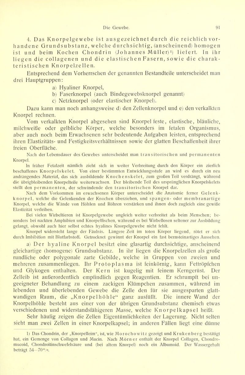 4. Das Knorpelgewebe ist ausgezeichnet durch die reichlich vor- handene Grundsubstanz, welche durchsichtig, (anscheinend) homogen ist und beim Kochen Chondrin (Johannes Müller)') liefert. In ihr liegen die collagenen und die elastischen Fasern, sowie die charak- teristischen Knorpelzellen. Entsprechend dem Vorherrschen der genannten Bestandteile unterscheidet man drei Hauptgruppen: a) Hyaliner Knorpel, b) Faserknorpel (auch Bindegewebsknorpel genannt) c) Netzknorpel (oder elastischer Knorpel). Dazu kann man noch anhangsweise d) den Zellenknorpel und e) den verkalkten Knorpel rechnen. Vom verkalkten Knorpel abgesehen sind Knorpel feste, elastische, bläuliche, milchweiße oder gelbliche Körper, welche besonders im fetalen Organismus, aber auch noch beim Erwachsenen sehr bedeutende Aufgaben leisten, entsprechend ihren Elastizitäts- und Festigkeitsverhältnissen sowie der glatten Beschaffenheit ihrer freien Oberfläche. Nach der Lebensdauer des Gewebes unterscheidet man trän sitorischen und permanenten Knorpel. In früher Fetalzeit nämlich zieht sich in weiter Verbreitung durch den Körper ein zierlich beschaffenes Knorpelskelet. Von einer bestimmten Entwicklungsstufe an wird es durch ein neu andrängendes Material, das sich ausbildende Knoch enskelet, zum großen Teil verdrängt, während die übrigbleibenden Knorpelteile weiterwachsen. Der bleibende Teil des ursprünglichen Knorpelskelets stellt den permanenten, der schwindende den transitorischen Knorpel dar. Nach dem Vorkommen im erwachsenen Körper unterscheidet die Anatomie ferner Gelenk- knorpel, welche die Gelenkenden der Knochen überziehen, und spangen- oder membranartige Knorpel, welche die Wände von Höhlen und Röhren verstärken und ihnen doch zugleich eine gewiße Elastizität verleihen. Bei vielen Wirbeltieren ist Knorpelgewebe ungleich weiter verbreitet als beim Menschen; be- sonders bei nackten Amphibien und Knorpelfischen, während es bei Wirbellosen seltener zur Ausbildung gelangt, obwohl auch hier selbst echtes hyalines Knorpelgewebe nicht fehlt. Knorpel widersteht lange der Fäulnis. Längere Zeit im toten Körper liegend, rötet er sich durch Imbibition mit Blutfarbstoff. Getrocknet gewinnt der Knorpel ein fast bernsteinartiges Aussehen. a) Der hyaline Knorpel besitzt eine glasartig durchsichtige, anscheinend gleichartige (homogene) Grundsubstanz. In ihr liegen die Knorpelzellen als große rundliche oder polygonale zarte Gebilde, welche in Gruppen von zweien und mehreren zusammenliegen. Ihr Protop 1 asma ist feinkörnig, kann Fettröpfchen und Glykogen enthalten. Der Kern ist kugelig mit feinem Kerngerüst. Der Zelleib ist außerordentlich empfindlich gegen Reagentien. Er schrumpft bei un- geeigneter Behandlung zu einem zackigen Klümpchen zusammen, während im lebenden und überlebenden Gewebe die Zelle den für sie ausgesparten glatt- wandigen Raum, die „Knorpelhöhle ganz ausfüllt. Die innere Wand der Knorpelhöhle besteht aus einer von der übrigen Grundsubstanz chemisch etwas verschiedenen und widerstandsfähigeren Masse, welche Knorpelkapsel heißt. Sehr häufig zeigen die Zellen Eigentümlichkeiten der Lagerung. Nicht selten sieht man zwei Zellen in einer Knorpelkapsel; in anderen Fällen liegt eine dünne 1) Das Chondrin, der „Knorpelleim, ist, wie Morocho witz gezeigt und Krukenberg bestätigt hat, ein Gemenge von Collagen und Mucin. Nach Mörner enthält der Knorpel Collagen, Chondro- mucoid, Chondroitinschwefelsäure und (bei altem Knorpel) noch ein Albumoid. Der Wassergehalt beträgt 54-70/o.