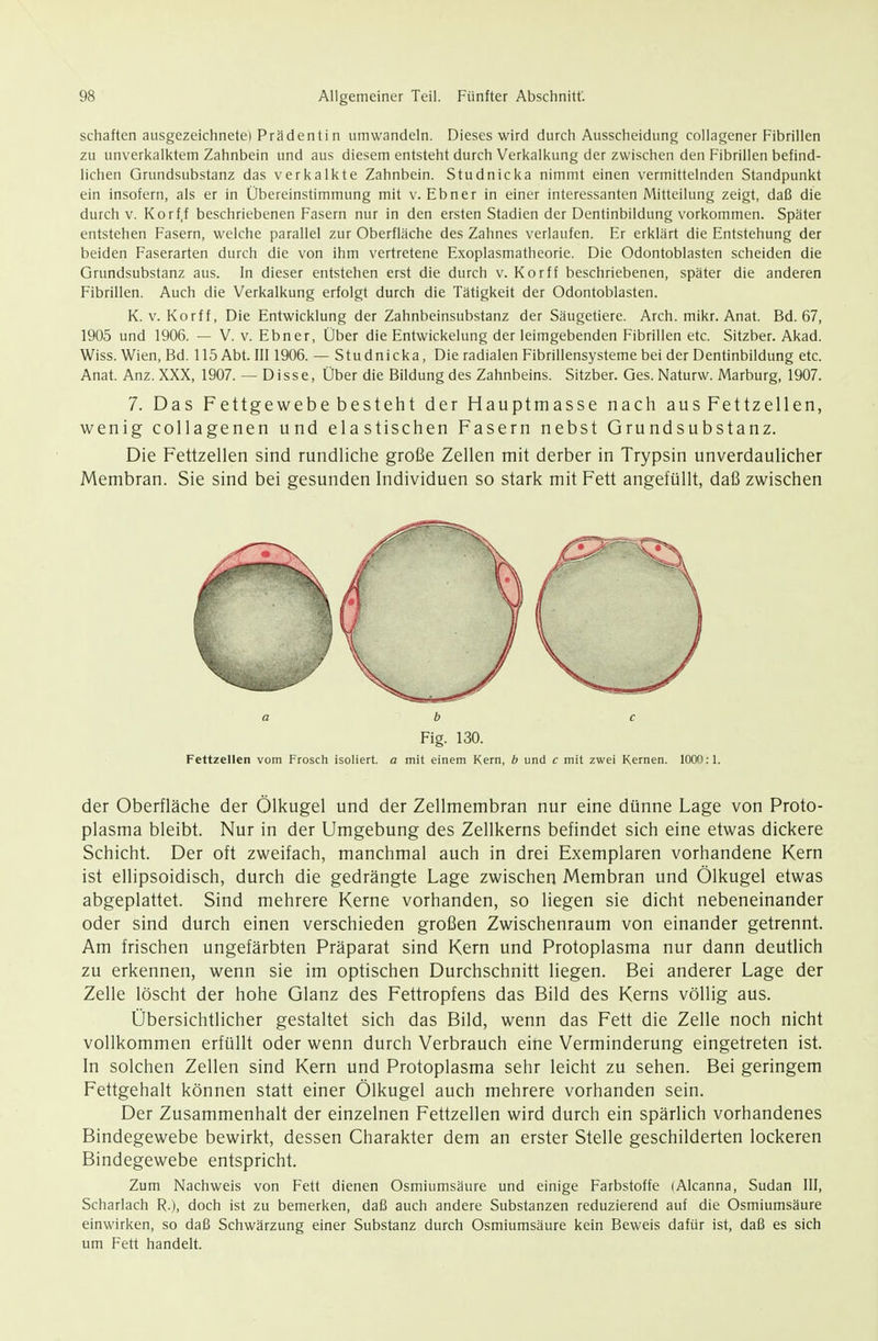 Schäften ausgezeichnete) Prädenti n umwandeln. Dieses wird durch Ausscheidung collagener Fibrillen zu unverkalktem Zahnbein und aus diesem entsteht durch Verl<alkung der zwischen den Fibrillen befind- lichen Grundsubstanz das verkalkte Zahnbein. Studnicka nimmt einen vermittelnden Standpunkt ein insofern, als er in Übereinstimmung mit v. Ebner in einer interessanten Mitteilung zeigt, daß die durch v. Korf,f beschriebenen Fasern nur in den ersten Stadien der Dentinbildung vorkommen. Später entstehen Fasern, welche parallel zur Oberfläche des Zahnes verlaufen. Er erklärt die Entstehung der beiden Faserarten durch die von ihm vertretene Exoplasmatheorie. Die Odontoblasten scheiden die Grundsubstanz aus. In dieser entstehen erst die durch v. Korff beschriebenen, später die anderen Fibrillen. Auch die Verkalkung erfolgt durch die Tätigkeit der Odontoblasten. K. V. Korff, Die Entwicklung der Zahnbeinsubstanz der Säugetiere. Arch. mikr. Anat. Bd. 67, 1905 und 1906. — V. v. Ebner, Über die Entwickelung der leimgebenden Fibrillen etc. Sitzber. Akad. Wiss. Wien, Bd. 115 Abt. III 1906. — Studnicka, Die radialen Fibrillensystemebei der Dentinbildung etc. Anat. Anz. XXX, 1907. — Disse, Über die Bildung des Zahnbeins. Sitzber. Ges. Naturw. Marburg, 1907. 7. Das Fettgewebe besteht der Hauptmasse nach aus Fettzellen, wenig collagenen und elastischen Fasern nebst Grundsubstanz. Die Fettzellen sind rundliche große Zellen mit derber in Trypsin unverdaulicher Membran. Sie sind bei gesunden Individuen so stark mit Fett angefüllt, daß zwischen ab c Fig. 130. Fettzellen vom Frosch isoliert, a mit einem Kern, b und c mit zwei Kernen. 1000:1. der Oberfläche der Ölkugel und der Zellmembran nur eine dünne Lage von Proto- plasma bleibt. Nur in der Umgebung des Zellkerns befindet sich eine etwas dickere Schicht. Der oft zweifach, manchmal auch in drei Exemplaren vorhandene Kern ist ellipsoidisch, durch die gedrängte Lage zwischen Membran und Ölkugel etwas abgeplattet. Sind mehrere Kerne vorhanden, so liegen sie dicht nebeneinander oder sind durch einen verschieden großen Zwischenraum von einander getrennt. Am frischen ungefärbten Präparat sind Kern und Protoplasma nur dann deutlich zu erkennen, wenn sie im optischen Durchschnitt liegen. Bei anderer Lage der Zelle löscht der hohe Glanz des Fettropfens das Bild des Kerns völlig aus. Übersichtlicher gestaltet sich das Bild, wenn das Fett die Zelle noch nicht vollkommen erfüllt oder wenn durch Verbrauch eine Verminderung eingetreten ist. In solchen Zellen sind Kern und Protoplasma sehr leicht zu sehen. Bei geringem Fettgehalt können statt einer Ölkugel auch mehrere vorhanden sein. Der Zusammenhalt der einzelnen Fettzellen wird durch ein spärlich vorhandenes Bindegewebe bewirkt, dessen Charakter dem an erster Stelle geschilderten lockeren Bindegewebe entspricht. Zum Nachweis von Fett dienen Osmiumsäure und einige Farbstoffe (Aleanna, Sudan III, Scharlach R.), doch ist zu bemerken, daß auch andere Substanzen reduzierend auf die Osmiumsäure einwirken, so daß Schwärzung einer Substanz durch Osmiumsäure kein Beweis dafür ist, daß es sich um Fett handelt.