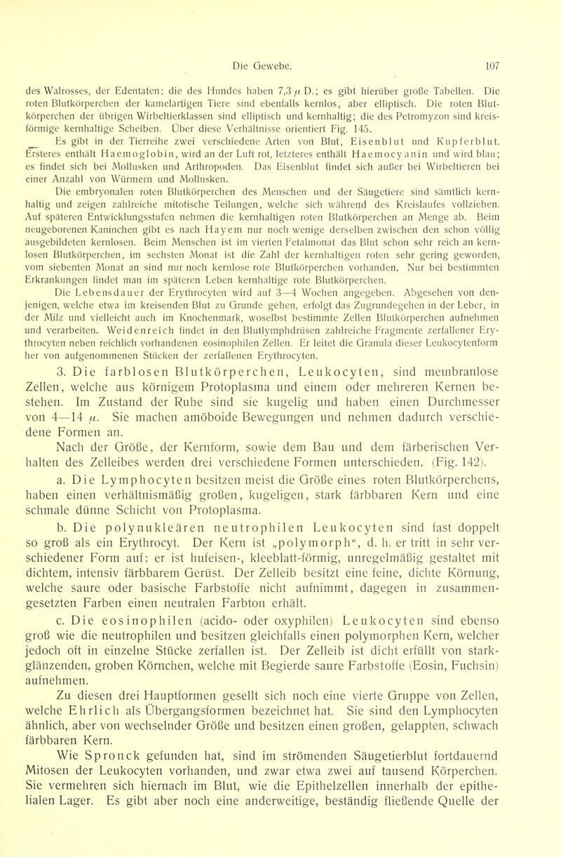 des Walrosses, der Edentaten; die des Hundes haben 7,3 ,«D.; es gibt liieriiber große Tabellen. Die roten Blutkörperchen der kamelartigen Tiere sind ebenfalls kernlos, aber elliptisch. Die roten Blut- körperchen der übrigen Wirbeltierklassen sind elliptisch und kernhaltig; die des Petromyzon sind kreis- förmige kernhaltige Scheiben. Über diese Verhältnisse orientiert Fig. 145. Es gibt in der Tierreihe zwei verschiedene Arten von Blut, Eisenblut und Kupferblut. Ersteres enthält Haemoglobin, wird an der Luft rot, letzteres enthält Haemocyanin und wird blau; es findet sich bei Mollusken und Arthropoden. Das Eisenblut findet sich außer bei Wirbeltieren bei einer Anzahl von Würmern und Mollusken. Die embryonalen roten Blutkörperchen des Menschen und der Säugetiere sind sämtlich kern- haltig und zeigen zahlreiche mitotische Teilungen, welche sich während des Kreislaufes vollziehen. Auf späteren Entwicklungsstufen nehmen die kernhaltigen roten Blutkörperchen an Menge ab. Beim neugeborenen Kaninchen gibt es nach Hayem nur noch wenige derselben zwischen den schon völlig ausgebildeten kernlosen. Beim Menschen ist im vierten Fetalmonat das Blut schon sehr reich an kern- losen Blutkörperchen, im sechsten Monat ist die Zahl der kernhaltigen roten sehr gering geworden, vom siebenten Monat an sind nur noch kernlose rote Blutkörperchen vorhanden. Nur bei bestimmten Erkrankungen findet man im späteren Leben kernhaltige rote Blutkörperchen. Die Lebensdauer der Erythrocyten wird auf 3—4 Wochen angegeben. Abgesehen von den- jenigen, welche etwa im kreisenden Blut zu Grunde gehen, erfolgt das Zugrundegehen in der Leber, in der Milz und vielleicht auch im Knochenmark, woselbst bestimmte Zellen Blutkörperchen aufnehmen und verarbeiten. Weidenreich findet in den Blutlymphdrüsen zahlreiche Fragmente zerfallener Ery- throcyten neben reichlich vorhandenen eosinophilen Zellen. Er leitet die Granula dieser Leukocytenform her von aufgenommenen Stücken der zerfallenen Erythrocyten. 3. Die farblosen Blutkörperchen, Leukocyten, sind membranlose Zellen, welche aus körnigem Protoplasma und einem oder mehreren Kernen be- stehen. Im Zustand der Ruhe sind sie kugelig und haben einen Durchmesser von 4—14 lt. Sie machen amöboide Bewegungen und nehmen dadurch verschie- dene Formen an. Nach der Größe, der Kernform, sowie dem Bau und dem färberischen Ver- halten des Zelleibes werden drei verschiedene Formen unterschieden. (Fig. 142). a. Die Lymphocyten besitzen meist die Größe eines roten Blutkörperchens, haben einen verhältnismäßig großen, kugeligen, stark färbbaren Kern und eine schmäle dünne Schicht von Protoplasma. b. Die polynukleären neutrophilen Leukocyten sind fast doppelt so groß als ein Erythrocyt. Der Kern ist „polymorph, d. h. er tritt in sehr ver- schiedener Form auf: er ist hufeisen-, kleeblatt-förmig, unregelmäßig gestaltet mit dichtem, intensiv färbbarem Gerüst. Der Zelleib besitzt eine feine, dichte Körnung, welche saure oder basische Farbstoffe nicht aufnimmt, dagegen in zusammen- gesetzten Farben einen neutralen Farbton erhält. c. Die eosinophilen (acido- oder oxyphilen) Leukocyten sind ebenso groß wie die neutrophilen und besitzen gleichfalls einen polymorphen Kern, welcher jedoch oft in einzelne Stücke zerfallen ist. Der Zelleib ist dicht erfüllt von stark- glänzenden, groben Körnchen, welche mit Begierde saure Farbstoffe (Eosin, Fuchsin) aufnehmen. Zu diesen drei Hauptformen gesellt sich noch eine vierte Gruppe von Zellen, welche Ehrlich als Übergangsformen bezeichnet hat. Sie sind den Lymphocyten ähnlich, aber von wechselnder Größe und besitzen einen großen, gelappten, schwach färbbaren Kern. Wie Spronck gefunden hat, sind im strömenden Säugetierblut fortdauernd Mitosen der Leukocyten vorhanden, und zwar etwa zwei auf tausend Körperchen. Sie vermehren sich hiernach im Blut, wie die Epithelzellen innerhalb der epithe- lialen Lager. Es gibt aber noch eine anderweitige, beständig fließende Quelle der
