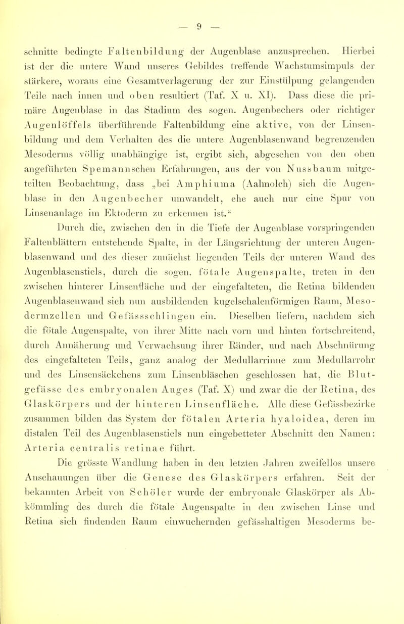 schnitte bedingte Faltenbildung- der Augenblase anzusprechen. Hierbei ist der die untere Wand unseres Gebildes treftende Wachstumsimpuls der stärkere, woraus eine Gesamt Verlagerung der zur Einstülpung gelangenden Teile nach innen und oben resultiert (Taf. X u. XI). Dass diese die pri- märe Augenblase in das Stadium des sogen. Augenbechers oder richtiger Augenlüffels Uberführende Faltenbildung eine aktive, von der Linsen- bildung und dem Verhalten des die untere Augenblasenwand begrenzenden Mesoderms völlig unabhängige ist, ergibt sich, abgesehen von den oben angeführten Spemannschen Erfahrungen, aus der von Nussbaum mitge- teilten Beobachtung, dass „bei Amphiuma (Aalmolch) sich die Augen- blase in den Augenbecher umwandelt, ehe auch nur eine Spur von Linsenanlage im Ektoderm zu erkennen ist. Durch die, zwischen den in die Tiefe der Augenblase vorspringenden Faltenblättern entstehende Spalte, hi der Längsrichtung der unteren Augen- blasenwand und des dieser zunächst liegenden Teils der unteren Wand des Augenblasenstiels, durch die sogen, fötale Augen spalte, treten in den zwischen hinterer Linsenfläche und der eino-cfalteten, die Retina bildenden Augenblasenwand sich nun ausbildenden kugelschalenförmigen Raum, Meso- dermzellen und Gefässschlingen ein. Dieselben liefern, nachdem sich die fötale Augenspalte, von ihrer Mitte nach vorn und liinte)v fortschreitend, durch Annäherung und Verwachsung ihrer Ränder, und nach Abschnürung des eingefalteten Teils, ganz analog der Medullarrinne zum Medullarrohr und des Linsensäckchens zum Linsenbläschen geschlossen hat, die Blut- gefässe des embryonalen Auges (Taf. X) und zwar die der Retina, des Glaskörpers und der hinteren Linsenfläche. Alle diese Gefässbezirke zusammen bilden das System der fötalen Arteria hyaloidea, deren im distalen Teil des Augenblasenstiels nun eingebetteter Abschnitt den Namen: Arteria centralis retinae führt. Die grösste Wandlung haben in den letzten Jahren zweifellos unsere Anschauungen über die Genese des Glaskörpers erfahren. Seit der bekannten Arbeit von Schöler wurde der embryonale Glaskörper als Ab- kömmling des durch die fötale Augenspalte in den zwischen Linse und Retina sich findenden Raum einwucliernden gefässhaltigen Mesoderms be-