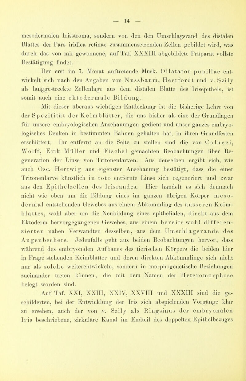 mesodermalen Irisstroma, sondern von den den Umschlagsrand des distalen Blattes der Pars iridica retinae zusammensetzenden Zellen gebildet wird, was durch das von mir gewonnene, auf Taf. XXXIII abgebildete Präparat vollste Bestätigung findet. Der erst im 7. Monat auftretende Musk. Dilatator pupillae ent- wickelt sich nach den Angaben von Nussbaum, Heerfordt und v. Szily als langgestreckte Zellenlage aus dem distalen Blatte des Irisepithels, ist somit auch eine ektodermale Bildung. Mit dieser überaus wichtigen Entdeckung ist die bisherige Lehre von der Spezifität der Keimblätter, die uns bisher als eine der Grundlagen für unsere embryologischen Anschauungen gedient und unser ganzes embryo- logisches Denken in bestimmten Bahnen gehalten hat, in ihren Grundfesten erschüttert, Ihr entfernt an die Seite zu stellen sind die von Colucci, Wolff, Erik Müller und Fischel gemachten Beobachtungen über Re- generation der Linse von Tritonenlarven. Aus denselben ergibt sich, wie auch Ose. Hertwig aus eigenster Anschauung bestätigt, dass die einer Tritonenlarve künstlich in toto entfernte Linse sich regeneriert und zwar aus den Epithelzellen des Irisrandes. Hier handelt es sich demnach nicht wie oben um die Bildung eines im ganzen übrigen Körper meso- dermal entstehenden Gewebes aus einem Abkömmling des äusseren Keim- blattes, wohl aber um die Neubildung eines epithelialen, direkt aus dem Ektoderm hervorgegangenen Gewebes, aus einem bereits wohl differen- zierten nahen Verwandten desselben, aus dem Umschlagsrande des Augenbechers. Jedenfalls geht aus beiden Beobachtungen hervor, dass während des embryonalen Aufbaues des tierischen Körpers die beiden hier in Frage stehenden Keimblätter und deren direkten Abkömmlinge sich nicht nur als solche weiterentwickeln, sondern in morphogenetische Beziehungen zueinander treten können, die mit dem Namen der Heteromorphose belegt worden sind. Auf Taf. XXI, XXIII, XXIV, XXVIII und XXXIII sind die ge- schilderten, bei der Entwicklung der Iris sich abspielenden Vorgänge klar zu ersehen, auch der von v. Szily als Ringsinus der embryonalen Iris beschriebene, zirkuläre Kanal im Endteil des doppelten Epithelbezuges