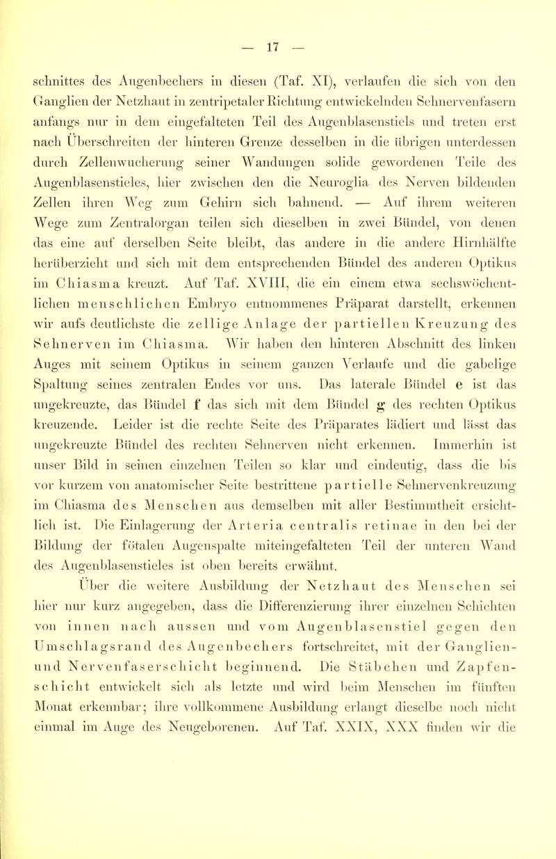 Schnittes des Angenbechers in diesen (Taf. XT), verlaufen die sich von den Ganglien der Netzhaut in zentripetaler Richtung entwickelnden Sehnervenfasern anfangs niu* in dem eingefalteten Teil des Augenblasenstiels und treten erst nach Uberschreiten der hinteren Gi'enze desselben in die übrigen unterdessen durch Zellenwucherung seiner Wandungen solide gewordenen Teile des Augenblasenstieles, hier zwischen den die Neuroglia des Nerven bildenden Zellen ihren Weg zum Gehirn sich bahnend. — Auf ihrem weiteren Wege zum Zentralorgan teilen sich dieselben in zwei Bündel, von denen das eine auf derselben Seite bleibt, das andere in die andere Hirnhälfte herüberzieht und sich mit dem entsprechenden Bündel des anderen Optikus im Chiasma kreuzt. Auf Taf. XVIII, die ein einem etwa sechswöclient- lichen menschlichen Embryo entnommenes Präparat darstellt, erkennen wir aufs deutlichste die zellige x\nlage der partiellen Kreuzung des Sehnerven im Chiasma. Wir haben den hinteren Abschnitt des linken Auges mit seinem Optikus in seinem ganzen Verlaufe und die gabelige Spaltung seines zentralen Endes vor uns. Das laterale Bündel e ist das ungekreuzte, das Bündel f das sich mit dem Bündel g* des rechten Optikus kreuzende. Leider ist die rechte Seite des Präparates lädiert und lässt das ungekreuzte Bündel des rechten Sehnerven nicht erkennen. Immerhin ist unser Bild in seinen einzelnen Teilen so klar und eindeutig, dass die l)is vor kurzem von anatomischer Seite bestrittene partielle Sehnervenkreuzung im Chiasma des Menschen aus demselben mit aller Bestimmtheit ersicht- lich ist. Die Einlagerung der Arteria centralis retinae in den bei der Bildung der fötalen Augenspalte miteingefalteten Teil der unteren Wand des Augenblasenstieles ist oben bereits erwähnt. Uber die weitere Ausbildung der Netzhaut des Menschen sei hier nur kurz angegeben, dass die Differenzierung ihrer einzelnen Schichten von innen nach aussen und vom Augenblasenstiel gegen den ümschlagsrand des Augenbechers fortschreitet, mit der Ganglien- und Nervenfaserschicht beginnend. Die Stäbchen und Zapfen- schicht entwickelt sich als letzte und wird beim Menschen im fünften Monat erkennbar; ihre vollkommene Ausbildung erlangt dieselbe noch nicht einmal im Auge des Neugeborenen. Auf Taf. XXIX, XXX finden wir die