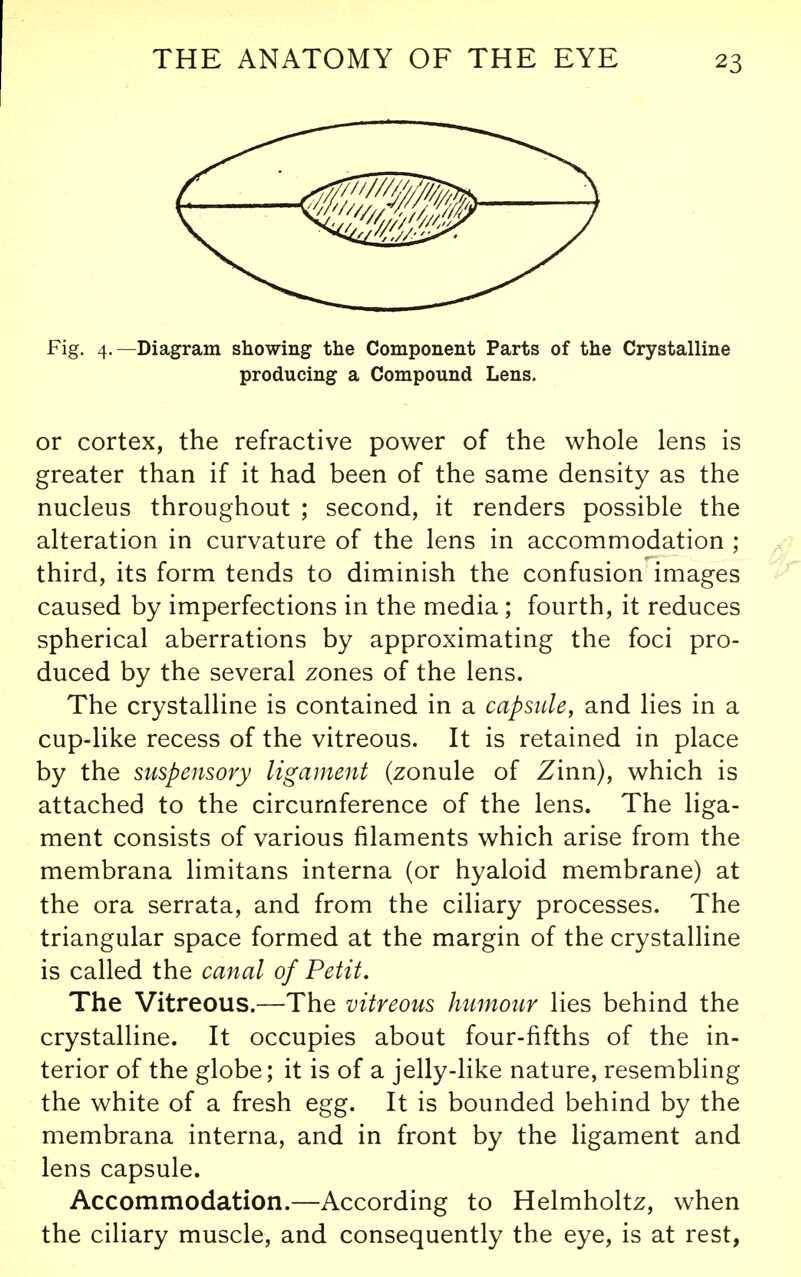 Fig. 4.—Diagram showing the Component Parts of the Crystalline producing a Compound Lens. or cortex, the refractive power of the whole lens is greater than if it had been of the same density as the nucleus throughout ; second, it renders possible the alteration in curvature of the lens in accommodation ; third, its form tends to diminish the confusion images caused by imperfections in the media ; fourth, it reduces spherical aberrations by approximating the foci pro- duced by the several zones of the lens. The crystalline is contained in a capsule, and lies in a cup-like recess of the vitreous. It is retained in place by the suspensory ligament (zonule of Zinn), which is attached to the circumference of the lens. The liga- ment consists of various filaments which arise from the membrana limitans interna (or hyaloid membrane) at the ora serrata, and from the ciliary processes. The triangular space formed at the margin of the crystalline is called the canal of Petit. The Vitreous.—The vitreous humour lies behind the crystalline. It occupies about four-fifths of the in- terior of the globe; it is of a jelly-like nature, resembling the white of a fresh egg. It is bounded behind by the membrana interna, and in front by the ligament and lens capsule. Accommodation.—According to Helmholtz, when the ciliary muscle, and consequently the eye, is at rest,