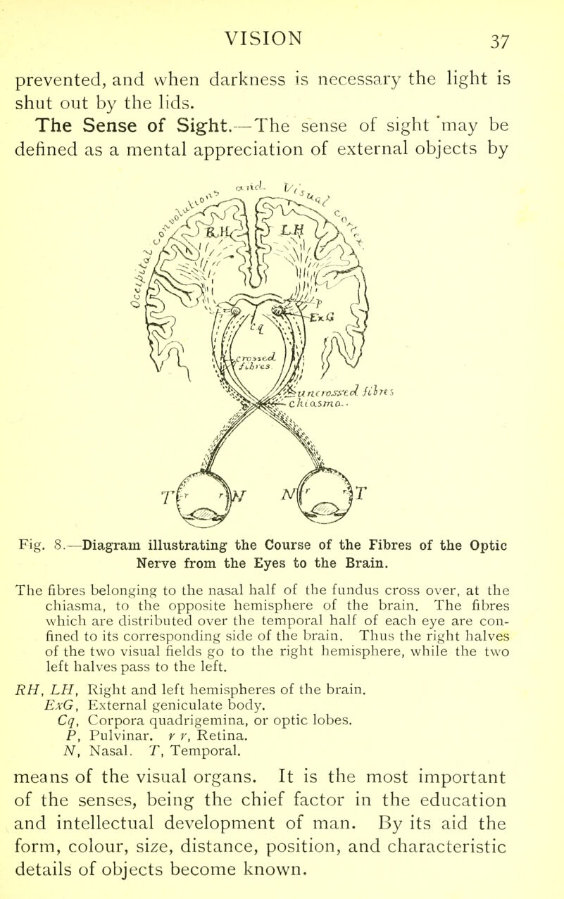 prevented, and when darkness is necessary the light is shut out by the lids. The Sense of Sight.—The sense of sight *may be defined as a mental appreciation of external objects by Fig. 8.—Diagram illustrating the Course of the Fibres of the Optic Nerve from the Eyes to the Brain. The fibres belonging to the nasal half of the fundus cross over, at the chiasma, to the opposite hemisphere of the brain. The fibres which are distributed over the temporal half of each eye are con- fined to its corresponding side of the brain. Thus the right halves of the two visual fields go to the right hemisphere, while the two left halves pass to the left. RH, LH, Right and left hemispheres of the brain. ExG, External geniculate body. Cq, Corpora quadrigemina, or optic lobes. P, Pulvinar. r r, Retina. N, Nasal. T, Temporal. means of the visual organs. It is the most important of the senses, being the chief factor in the education and intellectual development of man. By its aid the form, colour, size, distance, position, and characteristic details of objects become known.