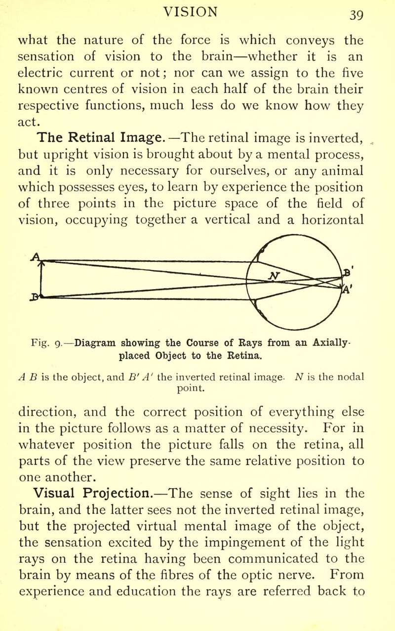 what the nature of the force is which conveys the sensation of vision to the brain—whether it is an electric current or not; nor can we assign to the five known centres of vision in each half of the brain their respective functions, much less do we know how they act. The Retinal Image.—The retinal image is inverted, but upright vision is brought about by a mental process, and it is only necessary for ourselves, or any animal which possesses eyes, to learn by experience the position of three points in the picture space of the field of vision, occupying together a vertical and a horizontal Fig. g.—Diagram showing the Course of Rays from an Axially- placed Object to the Retina. A B is the object, and B' A' the inverted retinal image. N is the nodal point. direction, and the correct position of everything else in the picture follows as a matter of necessity. For in whatever position the picture falls on the retina, all parts of the view preserve the same relative position to one another. Visual Projection.—The sense of sight lies in the brain, and the latter sees not the inverted retinal image, but the projected virtual mental image of the object, the sensation excited by the impingement of the light rays on the retina having been communicated to the brain by means of the fibres of the optic nerve. From experience and education the rays are referred back to