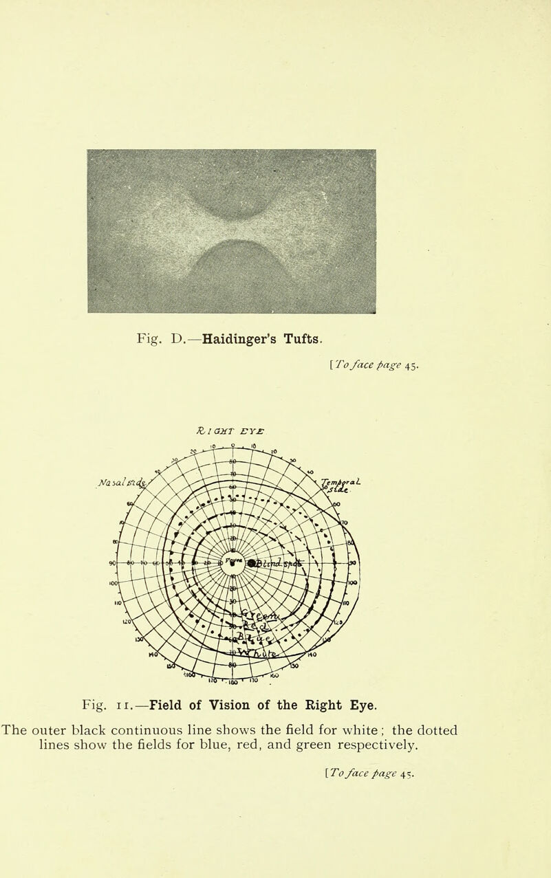 Fig. D.—Haidinger's Tufts. [ To face page 45. Fig. II.—Field of Vision of the Right Eye. The outer black continuous line shows the field for white; the dotted lines show the fields for blue, red, and green respectively, [ To face page 4 5.