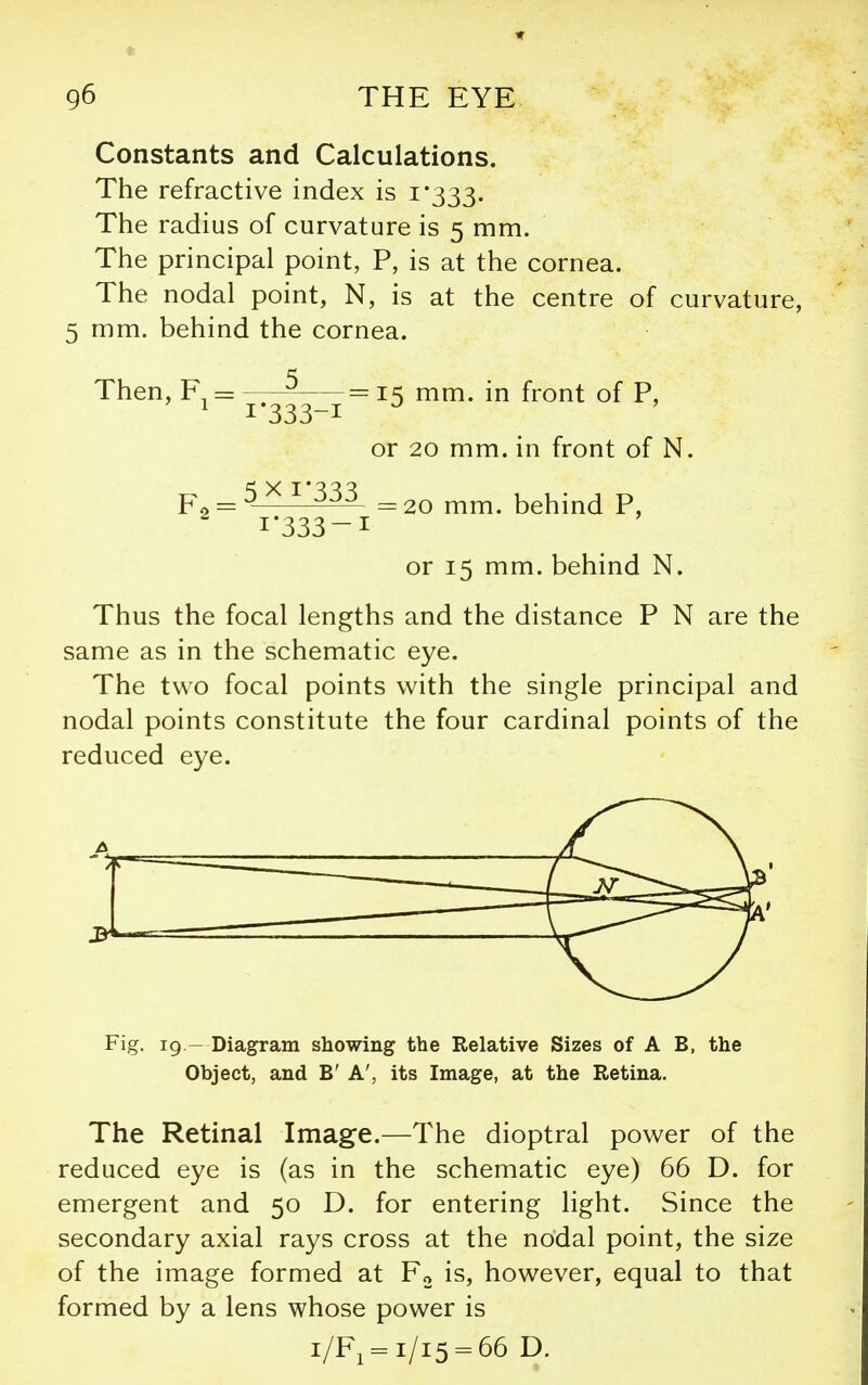 Constants and Calculations. The refractive index is 1*333. The radius of curvature is 5 mm. The principal point, P, is at the cornea. The nodal point, N, is at the centre of curvature, 5 mm. behind the cornea. Then, F, = = 15 mm. in front of P, ' 1*333-1 or 20 mm. in front of N. P _ 5x1-333 _ 20 mm. behind P, 1*333-1 or 15 mm. behind N. Thus the focal lengths and the distance P N are the same as in the schematic eye. The two focal points with the single principal and nodal points constitute the four cardinal points of the reduced eye. Fig. 19 - Diagram showing the Relative Sizes of A B, the Object, and B' A', its Image, at the Retina. The Retinal Image.—The dioptral power of the reduced eye is (as in the schematic eye) 66 D. for emergent and 50 D. for entering light. Since the secondary axial rays cross at the nodal point, the size of the image formed at Fo is, however, equal to that formed by a lens whose power is i/F, = i/i5 = 66 D.