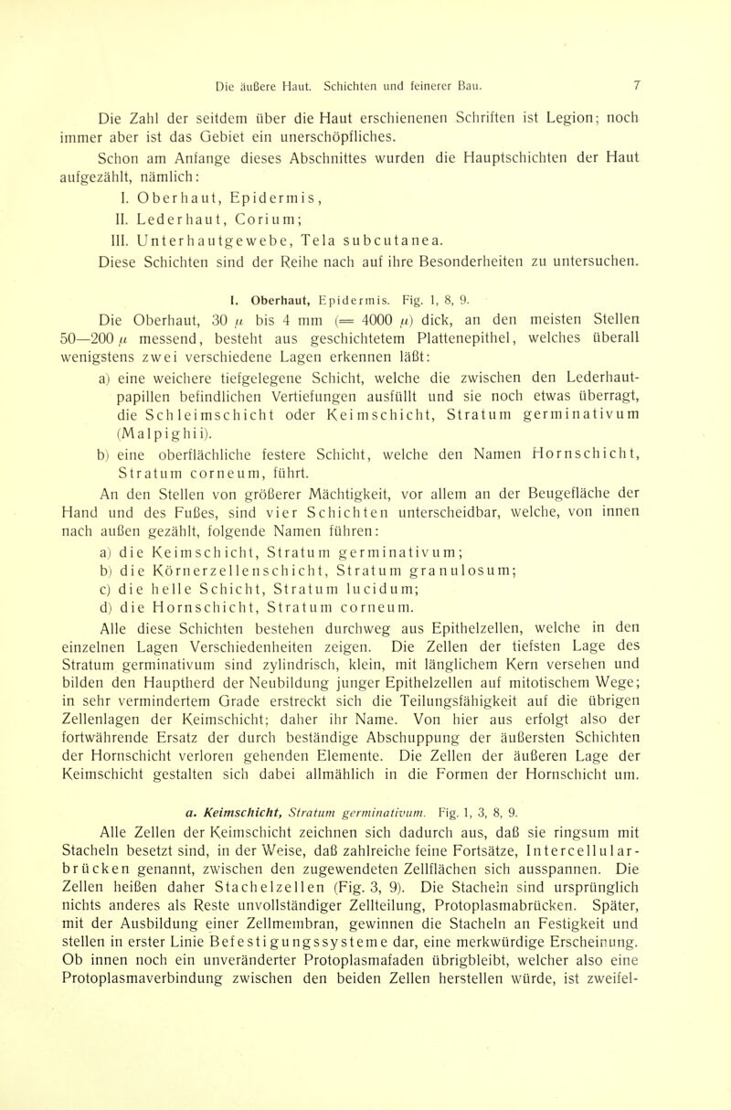 Die Zahl der seitdem über die Haut erschienenen Schriften ist Legion; noch immer aber ist das Gebiet ein unerschöpfliches. Schon am Anfange dieses Abschnittes wurden die Hauptschichten der Haut aufgezählt, nämlich: I. Oberhaut, Epidermis, II. Leder haut, Corium; III. Unterhautgewebe, Tela subcutanea. Diese Schichten sind der Reihe nach auf ihre Besonderheiten zu untersuchen, I. Oberhaut, Epidermis. Fig. 1, 8, 9. Die Oberhaut, 30 u bis 4 mm (= 4000 /<) dick, an den meisten Stellen 50—200 ,u messend, besteht aus geschichtetem Plattenepithel, welches überall wenigstens zwei verschiedene Lagen erkennen läßt: a) eine weichere tiefgelegene Schicht, welche die zwischen den Lederhaut- papillen befindlichen Vertiefungen ausfüllt und sie noch etwas überragt, die Sch leimschicht oder Keimschicht, Stratum germinativum (Malpighii). b) eine oberflächliche festere Schicht, welche den Namen Hornschicht, Stratum corneum, führt. An den Stellen von größerer Mächtigkeit, vor allem an der Beugefläche der Hand und des Fußes, sind vier Schichten unterscheidbar, welche, von innen nach außen gezählt, folgende Namen führen: a) die Keimschicht, Stratum germinativum; b) die Körnerzellenschicht, Stratum granulosum; c) die helle Schicht, Stratum lucidum; d) die Hornschicht, Stratum corneum. Alle diese Schichten bestehen durchweg aus Epithelzellen, welche in den einzelnen Lagen Verschiedenheiten zeigen. Die Zellen der tiefsten Lage des Stratum germinativum sind zylindrisch, klein, mit länglichem Kern versehen und bilden den Hauptherd der Neubildung junger Epithelzellen auf mitotischem Wege; in sehr vermindertem Grade erstreckt sich die Teilungsfähigkeit auf die übrigen Zellenlagen der Keimschicht; daher ihr Name. Von hier aus erfolgt also der fortwährende Ersatz der durch beständige Abschuppung der äußersten Schichten der Hornschicht verloren gehenden Elemente. Die Zellen der äußeren Lage der Keimschicht gestalten sich dabei allmählich in die Formen der Hornschicht um. a. Keimschicht, Stratum germinativum. Fig. 1, 3, 8, 9. Alle Zellen der Keimschicht zeichnen sich dadurch aus, daß sie ringsum mit Stacheln besetzt sind, in der Weise, daß zahlreiche feine Fortsätze, Intercellular- brücken genannt, zwischen den zugewendeten Zellflächen sich ausspannen. Die Zellen heißen daher Stachelzellen (Fig. 3, 9). Die Stachein sind ursprünglich nichts anderes als Reste unvollständiger Zellteilung, Protoplasmabrücken. Später, mit der Ausbildung einer Zellmembran, gewinnen die Stacheln an Festigkeit und stellen in erster Linie BefestigungsSysteme dar, eine merkwürdige Erscheinung. Ob innen noch ein unveränderter Protoplasmafaden übrigbleibt, welcher also eine Protoplasmaverbindung zwischen den beiden Zellen herstellen würde, ist zweifei-