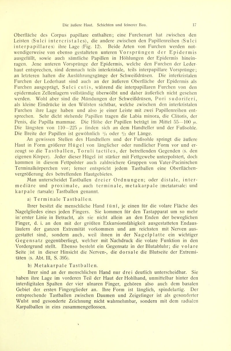 Oberfläche des Corpus papilläre enthalten; eine Furchenart hat zwischen den Leisten (Sulci intercrista 1 es), die andere zwischen den Papillenreihen (Sulci int er papilläres) ihre Lage (Fig. 12). Beide Arten von Furchen werden not- wendigerweise von ebenso gestalteten unteren Vorsprüngen der Epidermis ausgefüllt, sowie auch sämtliche Papillen in Höhlungen der Epidermis hinein- ragen. Jene unteren Vorsprünge der Epidermis, welche den Furchen der Leder- haut entsprechen, sind demnach teils interkristale, teils interpapillare Vorsprünge; an letzteren haften die Ausführungsgänge der Schweißdrüsen. Die interkristalen Furchen der Lederhaut sind auch an der äußeren Oberfläche der Epidermis als Furchen ausgeprägt, Sulci cutis, während die interpapillaren Furchen von den epidermalen Zellenlagern vollständig überwölbt und daher äußerlich nicht gesehen werden. Wohl aber sind die Mündungen der Schweißdrüsen, Fori sudoriferi, als kleine Eindrücke in den Wülsten sichtbar, welche zwischen den interkristalen Furchen ihre Lage haben und also je einer Leiste mit zwei Papillenreihen ent- sprechen. Sehr dicht stehende Papillen tragen die Labia minora, die Clitoris, der Penis, die Papilla mammae. Die Höhe der Papillen beträgt im Mittel 55—100 ,a. Die längsten von 110 — 225 it finden sich an dem Handteller und der Fußsohle. Die Breite der Papillen ist gewöhnlich oder '/-i der Länge. An gewissen Stellen des Handtellers und der Fußsohle springt die äußere Haut in Form größerer Hügel von länglicher oder rundlicher Form vor und er- zeugt so .die Tastballen, Toruli tactiles, der betreffenden Gegenden (s. den eigenen Körper). Jeder dieser Hügel ist stärker mit Fettgewebe unterpolstert, doch kommen in diesem Fettpolster auch zahlreichere Gruppen von Vater-Pacinischen Terminalkörperchen vor; ferner entspricht jedem Tastballen eine Oberflächen- vergrößerung des betreffenden Hautgebietes. Man unterscheidet Tastballen dreier Ordnungen; oder distale, inter- mediäre und proximale, auch terminale, metakarpale (metatarsale) und karpale (tarsale) Tastballen genannt. a) Terminale Tastballen. Ihrer besitzt die menschliche Hand fünf, je einen für die volare Fläche des Nagelgliedes eines jeden Fingers. Sie kommen für den Tastapparat um so mehr in erster Linie in Betracht, als sie nicht allein an den Enden der beweglichen Finger, d. i. an den mit der größten Exkursionsfähigkeit ausgestatteten Endaus- läufern der ganzen Extremität vorkommen und am reichsten mit Nerven aus- gestattet sind, sondern auch, weil ihnen in der Nagelplatte ein wichtiger Gegensatz gegenüberliegt, welcher mit Nachdruck die volare Funktion in den Vordergrund stellt. Ebenso besteht ein Gegensatz in der Blutabfuhr; die volare Seite ;ist in dieser Hinsicht die Nerven-, die dorsale die Blutseite der Extremi- täten (s. Abt. III, S. 395). b) Metakarpale Tastballen. Ihrer sind an der menschlichen Hand nur drei deutlich unterscheidbar. Sie haben ihre Lage im vorderen Teil der Haut der Hohlhand, unmittelbar hinter den interdigitalen Spalten der vier ulnaren Finger, gehören also auch dem basalen Gebiet der ersten Fingerglieder an. Ihre Form ist länglich, spindelartig. Der entsprechende Tastballen zwischen Daumen und Zeigefinger ist als gesonderter Wulst und gesonderte Zeichnung nicht wahrnehmbar, sondern mit dem radialen Karpalballen in eins zusammengeflossen.