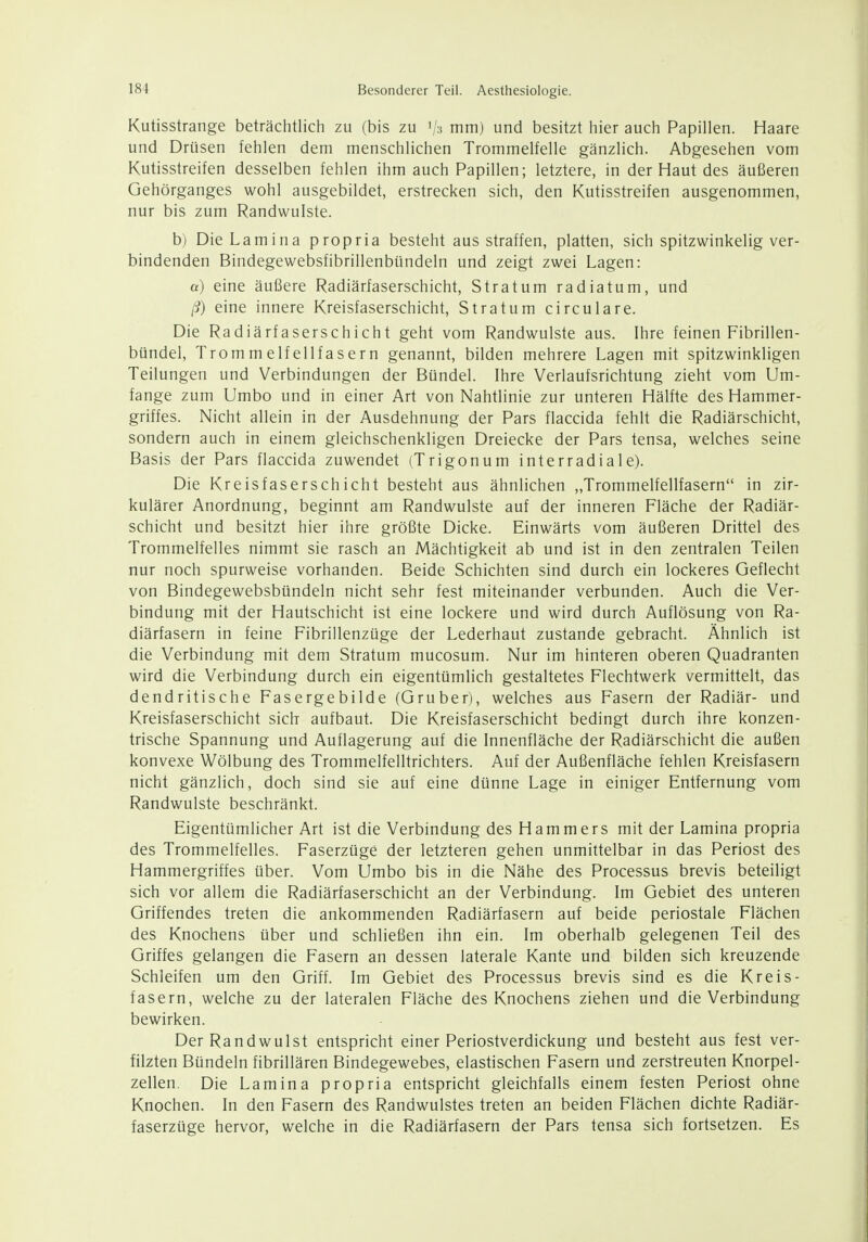 Kutisstrange beträchtlich zu (bis zu '/n mm) und besitzt hier auch Papillen. Haare und Drüsen fehlen dem menschlichen Trommelfelle gänzlich. Abgesehen vom Kutisstreifen desselben fehlen ihm auch Papillen; letztere, in der Haut des äußeren Gehörganges wohl ausgebildet, erstrecken sich, den Kutisstreifen ausgenommen, nur bis zum Randwulste. b) Die Lamina propria besteht aus straffen, platten, sich spitzwinkelig ver- bindenden Bindegewebsfibrillenbündeln und zeigt zwei Lagen: a) eine äußere Radiärfaserschicht, Stratum radiatum, und ß) eine innere Kreisfaserschicht, Stratum circulare. Die Radiärfaserschicht geht vom Randwulste aus. Ihre feinen Fibrillen- bündel. Trommelfellfasern genannt, bilden mehrere Lagen mit spitzwinkligen Teilungen und Verbindungen der Bündel. Ihre Verlaufsrichtung zieht vom Um- fange zum Umbo und in einer Art von Nahtlinie zur unteren Hälfte des Hammer- griffes. Nicht allein in der Ausdehnung der Pars flaccida fehlt die Radiärschicht, sondern auch in einem gleichschenkligen Dreiecke der Pars tensa, welches seine Basis der Pars flaccida zuwendet (Trigonum interradiale). Die Kreisfaserschicht besteht aus ähnlichen „Trommelfellfasern in zir- kulärer Anordnung, beginnt am Randwulste auf der inneren Fläche der Radiär- schicht und besitzt hier ihre größte Dicke. Einwärts vom äußeren Drittel des Trommelfelles nimmt sie rasch an Mächtigkeit ab und ist in den zentralen Teilen nur noch spurweise vorhanden. Beide Schichten sind durch ein lockeres Geflecht von Bindegewebsbündeln nicht sehr fest miteinander verbunden. Auch die Ver- bindung mit der Hautschicht ist eine lockere und wird durch Auflösung von Ra- diärfasern in feine Fibrillenzüge der Lederhaut zustande gebracht. Ähnlich ist die Verbindung mit dem Stratum mucosum. Nur im hinteren oberen Quadranten wird die Verbindung durch ein eigentümlich gestaltetes Flechtwerk vermittelt, das dendritische Fasergebilde (Gruber), welches aus Fasern der Radiär- und Kreisfaserschicht sich aufbaut. Die Kreisfaserschicht bedingt durch ihre konzen- trische Spannung und Auflagerung auf die Innenfläche der Radiärschicht die außen konvexe Wölbung des Trommelfelltrichters. Auf der Außenfläche fehlen Kreisfasern nicht gänzlich, doch sind sie auf eine dünne Lage in einiger Entfernung vom Randwulste beschränkt. Eigentümlicher Art ist die Verbindung des Hammers mit der Lamina propria des Trommelfelles. Faserzüge der letzteren gehen unmittelbar in das Periost des Hammergriffes über. Vom Umbo bis in die Nähe des Processus brevis beteiligt sich vor allem die Radiärfaserschicht an der Verbindung. Im Gebiet des unteren Griffendes treten die ankommenden Radiärfasern auf beide periostale Flächen des Knochens über und schließen ihn ein. Im oberhalb gelegenen Teil des Griffes gelangen die Fasern an dessen laterale Kante und bilden sich kreuzende Schleifen um den Griff. Im Gebiet des Processus brevis sind es die Kreis- fasern, welche zu der lateralen Fläche des Knochens ziehen und die Verbindung bewirken. Der Randwulst entspricht einer Periostverdickung und besteht aus fest ver- filzten Bündeln fibrillären Bindegewebes, elastischen Fasern und zerstreuten Knorpel- zellen. Die Lamina propria entspricht gleichfalls einem festen Periost ohne Knochen. In den Fasern des Randwulstes treten an beiden Flächen dichte Radiär- faserzüge hervor, welche in die Radiärfasern der Pars tensa sich fortsetzen. Es