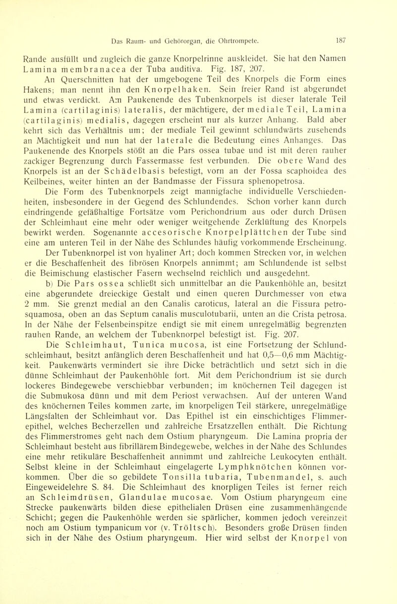 Rande ausfüllt und zugleich die ganze Knorpelrinne auskleidet. Sie hat den Namen Lamina membranacea der Tuba auditiva. Fig. 187, 207. An Querschnitten hat der umgebogene Teil des Knorpels die Form eines Hakens; man nennt ihn den Knorpelhaken. Sein freier Rand ist abgerundet und etwas verdickt. Am Paukenende des Tubenknorpels ist dieser laterale Teil Lamina (cartilaginis) lateralis, der mächtigere, der mediale Teil, Lamina (cartilaginis) medialis, dagegen erscheint nur als kurzer Anhang. Bald aber kehrt sich das Verhältnis um; der mediale Teil gewinnt schlundwärts zusehends an Mächtigkeit und nun hat der laterale die Bedeutung eines Anhanges. Das Paukenende des Knorpels stößt an die Pars ossea tubae und ist mit deren rauher zackiger Begrenzung durch Fassermasse fest verbunden. Die obere Wand des Knorpels ist an der Schädelbasis befestigt, vorn an der Fossa scaphoidea des Keilbeines, weiter hinten an der Bandmasse der Fissura sphenopetrosa. Die Form des Tubenknorpels zeigt mannigfache individuelle Verschieden- heiten, insbesondere in der Gegend des Schlundendes. Schon vorher kann durch eindringende gefäßhaltige Fortsätze vom Perichondrium aus oder durch Drüsen der Schleimhaut eine mehr oder weniger weitgehende Zerklüftung des Knorpels bewirkt werden. Sogenannte accesorische Knorpelplättchen der Tube sind eine am unteren Teil in der Nähe des Schlundes häufig vorkommende Erscheinung. Der Tubenknorpel ist von hyaliner Art; doch kommen Strecken vor, in welchen er die Beschaffenheit des fibrösen Knorpels annimmt; am Schlundende ist selbst die Beimischung elastischer Fasern wechselnd reichlich und ausgedehnt. b) Die Pars ossea schließt sich unmittelbar an die Paukenhöhle an, besitzt eine abgerundete dreieckige Gestalt und einen queren Durchmesser von etwa 2 mm. Sie grenzt medial an den Canalis caroticus, lateral an die Fissura petro- squamosa, oben an das Septum canalis musculotubarii, unten an die Crista petrosa. In der Nähe der Felsenbeinspitze endigt sie mit einem unregelmäßig begrenzten rauhen Rande, an welchem der Tubenknorpel befestigt ist. Fig. 207. Die Schleimhaut, Tunica mucosa, ist eine Fortsetzung der Schlund- schleimhaut, besitzt anfänglich deren Beschaffenheit und hat 0,5—0,6 mm Mächtig- keit. Paukenwärts vermindert sie ihre Dicke beträchtlich und setzt sich in die dünne Schleimhaut der Paukenhöhle fort. Mit dem Perichondrium ist sie durch lockeres Bindegewebe verschiebbar verbunden; im knöchernen Teil dagegen ist die Submukosa dünn und mit dem Periost verwachsen. Auf der unteren Wand des knöchernen Teiles kommen zarte, im knorpeligen Teil stärkere, unregelmäßige Längsfalten der Schleimhaut vor. Das Epithel ist ein einschichtiges Flimmer- epithel, welches Becherzellen und zahlreiche Ersatzzellen enthält. Die Richtung des Flimmerstromes geht nach dem Ostium pharyngeum. Die Lamina propria der Schleimhaut besteht aus fibrillärem Bindegewebe, welches in der Nähe des Schlundes eine mehr retikuläre Beschaffenheit annimmt und zahlreiche Leukocyten enthält. Selbst kleine in der Schleimhaut eingelagerte Lymphknötchen können vor- kommen. Über die so gebildete Tonsilla tubaria, Tubenmandel, s. auch Eingeweidelehre S. 84. Die Schleimhaut des knorpligen Teiles ist ferner reich an Schleimdrüsen, Glandulae mucosae. Vom Ostium pharyngeum eine Strecke paukenwärts bilden diese epithelialen Drüsen eine zusammenhängende Schicht; gegen die Paukenhöhle werden sie spärlicher, kommen jedoch vereinzelt noch am Ostium tympanicum vor (v. Tröltsch). Besonders große Drüsen finden sich in der Nähe des Ostium pharyngeum. Hier wird selbst der Knorpel von