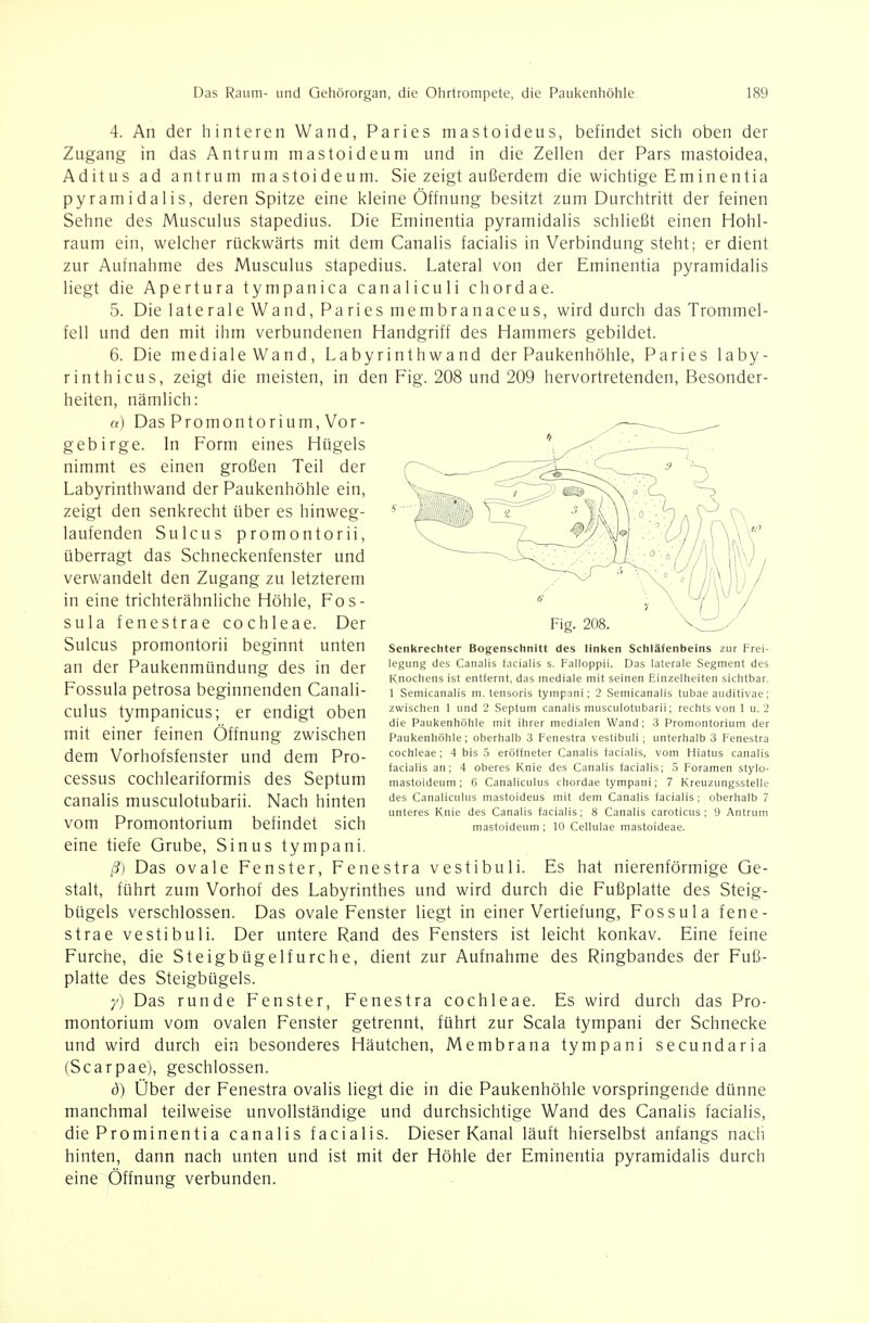 4. An der hinteren Wand, Paries mastoideus, befindet sich oben der Zugang in das Antrum mastoideum und in die Zellen der Pars mastoidea, Aditus ad antrum mastoideum. Sie zeigt außerdem die wichtige Eminentia pyramidalis, deren Spitze eine kleine Öffnung besitzt zum Durchtritt der feinen Sehne des Musculus stapedius. Die Eminentia pyramidalis schließt einen Hohl- raum ein, welcher rückwärts mit dem Canalis facialis in Verbindung steht; er dient zur Aufnahme des Musculus stapedius. Lateral von der Eminentia pyramidalis liegt die Apertura tympanica canaliculi chordae. 5. Die laterale Wand, Paries membranaceus, wird durch das Trommel- fell und den mit ihm verbundenen Handgriff des Hammers gebildet. 6. Die mediale Wand, Labyrinthwand der Paukenhöhle, Paries laby- rinthicus, zeigt die meisten, in den Fig. 208 und 209 hervortretenden, Besonder- heiten, nämlich: «) Das Promontorium, Vor- gebirge. In Form eines Hügels nimmt es einen großen Teil der Labyrinthwand der Paukenhöhle ein, zeigt den senkrecht über es hinweg- laufenden Sulcus promontorii, überragt das Schneckenfenster und verwandelt den Zugang zu letzterem in eine trichterähnliche Höhle, Fos- sula fenestrae Cochleae. Der Sulcus promontorii beginnt unten an der Paukenmündung des in der Fossula petrosa beginnenden Canali- culus tympanicus; er endigt oben mit einer feinen Öffnung zwischen dem Vorhofsfenster und dem Pro- cessus cochleariformis des Septum canalis musculotubarii. Nach hinten vom Promontorium befindet sich eine tiefe Grube, Sinus tympani. ß) Das ovale Fenster, Fenestra vestibuli. Es hat nierenförmige Ge- stalt, führt zum Vorhof des Labyrinthes und wird durch die Fußplatte des Steig- bügels verschlossen. Das ovale Fenster liegt in einer Vertiefung, Fossula fene- strae vestibuli. Der untere Rand des Fensters ist leicht konkav. Eine feine Furche, die Steigbügelfurche, dient zur Aufnahme des Ringbandes der Fuß- platte des Steigbügels. y) Das runde Fenster, Fenestra Cochleae. Es wird durch das Pro- montorium vom ovalen Fenster getrennt, führt zur Scala tympani der Schnecke und wird durch ein besonderes Häutchen, Membrana tympani secundaria (Scarpae), geschlossen. ö) Über der Fenestra ovalis liegt die in die Paukenhöhle vorspringende dünne manchmal teilweise unvollständige und durchsichtige Wand des Canalis facialis, die Prominentia canalis facialis. Dieser Kanal läuft hierselbst anfangs nach hinten, dann nach unten und ist mit der Höhle der Eminentia pyramidalis durch eine Öffnung verbunden. Senkrechter Bogenschnitt des linken Schläfenbeins zur Frei- legung des Canalis facialis s. Falloppii. Das laterale Segment des Knochens ist entfernt, das mediale mit seinen Einzelheiten sichtbar. 1 Semicanalis m. tensoris tympani; 2 Semicanalis tubae auditivae; zwischen 1 und 2 Septum canalis musculotubarii; rechts von 1 u. 2 die Paukenhöhle mit ihrer medialen Wand; 3 Promontorium der Paukenhöhle; oberhalb 3 Fenestra vestibuli; unterhalb 3 Fenestra Cochleae ; 4 bis 5 eröffneter Canalis facialis, vom Hiatus canalis facialis an; 4 oberes Knie des Canalis facialis; 5 Foramen stylo- mastoideum; 6 Canaliculus chordae tympani; 7 Kreuzungsstelle des Canaliculus mastoideus mit dem Canalis facialis ; oberhalb 7 unteres Knie des Canalis facialis; 8 Canalis caroticus ; 9 Antrum mastoideum ; 10 Cellulae mastoideae.