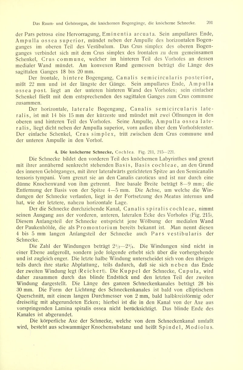 der Pars petrosa eine Hervorragung, Eminent ia a reu ata. Sein ampullares Ende, Ampulla ossea superior, mündet neben der Ampulle des horizontalen Bogen- ganges im oberen Teil des Vestibulum. Das Crus simplex des oberen Bogen- ganges verbindet sich mit dem Crus simplex des frontalen zu dem gemeinsamen Schenkel, Crus commune, welcher im hinteren Teil des Vorhofes an dessen medialer Wand mündet. Am konvexen Rand gemessen beträgt die Länge des sagittalen Ganges 18 bis 20 mm. Der frontale, hintere Bogengang, Canalis semicircularis posterior, mißt 22 mm und ist der längste der Gänge. Sein ampullares Ende, Ampulla ossea post. liegt an der unteren hinteren Wand des Vorhofes; sein einfacher Schenkel fließt mit dem entsprechenden des sagittalen Ganges zum Crus commune zusammen. Der horizontale, laterale Bogengang, Canalis semicircularis late- ralis, ist mit 14 bis 15 mm der kürzeste und mündet mit zwei Öffnungen in den oberen und hinteren Teil des Vorhofes. Seine Ampulle, Ampulla ossea late- ralis, liegt dicht neben der Ampulla superior, vorn außen über dem Vorhofsfenster. Der einfache Schenkel, Crus simplex, tritt zwischen dem Crus commune und der unteren Ampulle in den Vorhof. 4. Die knöcherne Schnecke, Cochlea. Fig. 211, 215—221. Die Schnecke bildet den vorderen Teil des knöchernen Labyrinthes und grenzt mit ihrer annähernd senkrecht stehenden Basis, Basis Cochleae, an den Grund des inneren Gehörganges, mit ihrer lateralwärts gerichteten Spitze an den Semicanalis tensoris tympani. Vorn grenzt sie an den Canalis caroticus und ist nur durch eine dünne Knochenwand von ihm getrennt. Ihre basale Breite beträgt 8—9 mm; die Entfernung der Basis von der Spitze 4—5 mm. Die Achse, um welche die Win- dungen der Schnecke verlaufen, liegt in der Fortsetzung des Meatus internus und hat, wie der letztere, nahezu horizontale Lage. Der die Schnecke durchziehende Kanal, Canalis spiralis Cochleae, nimmt seinen Ausgang aus der vorderen, unteren, lateralen Ecke des Vorhofes (Fig. 215). Diesem Anfangsteil der Schnecke entspricht jene Wölbung der medialen Wand der Paukenhöhle, die als Promontorium bereits bekannt ist. Man nennt diesen 4 bis 5 mm langen Anfangsteil der Schnecke auch Pars vestibularis der Schnecke. Die Zahl der Windungen beträgt 2i/2—2'V4. Die Windungen sind nicht in einer Ebene aufgerollt, sondern jede folgende erhebt sich über die vorhergehende und ist zugleich enger. Die letzte halbe Windung unterscheidet sich von den übrigen teils durch ihre starke Abplattung, teils dadurch, daß sie sich neben das Ende der zweiten Windung legt (Reichert). Die Kuppel der Schnecke, Cupula, wird daher zusammen durch das blinde Endstück und den letzten Teil der zweiten Windung dargestellt. Die Länge des ganzen Schneckenkanales beträgt 28 bis 30 mm. Die Form der Lichtung des Schneckenkanales ist bald von elliptischem Querschnitt, mit einem langen Durchmesser von 2 mm, bald halbkreisförmig oder dreiseitig mit abgerundeten Ecken; hierbei ist die in den Kanal von der Axe aus vorspringenden Lamina spiralis ossea nicht berücksichtigt. Das blinde Ende des Kanales ist abgerundet. Die körperliche Axe der Schnecke, welche von dem Schneckenkanal umfaßt wird, besteht aus schwammiger Knochensubstanz und heißt Spindel, Modiolus. /