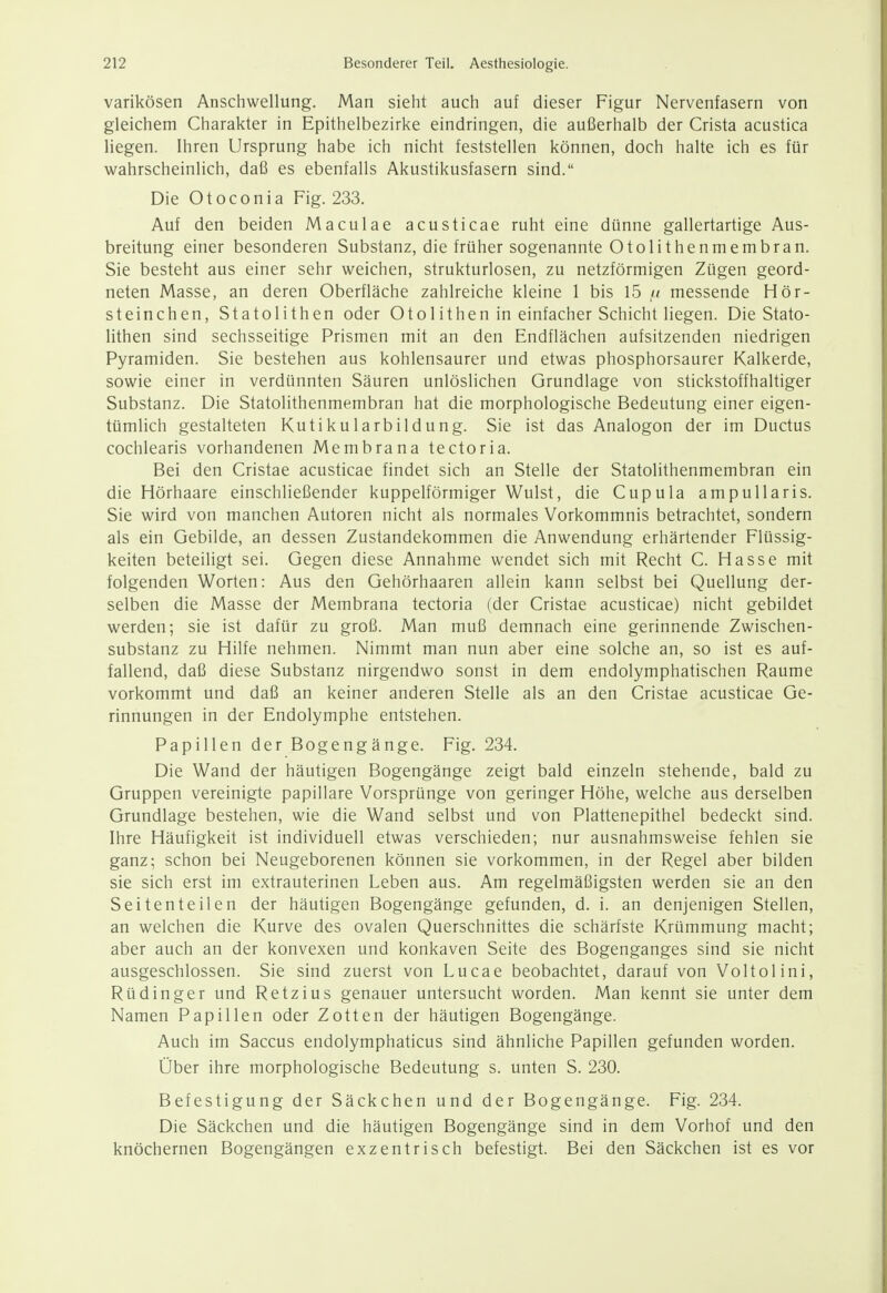 varikösen Anschwellung. Man sieht auch auf dieser Figur Nervenfasern von gleichem Charakter in Epithelbezirke eindringen, die außerhalb der Crista acustica liegen. Ihren Ursprung habe ich nicht feststellen können, doch halte ich es für wahrscheinlich, daß es ebenfalls Akustikusfasern sind. Die Otoconia Fig. 233. Auf den beiden Maculae acusticae ruht eine dünne gallertartige Aus- breitung einer besonderen Substanz, die früher sogenannte Otolithenmembran. Sie besteht aus einer sehr weichen, strukturlosen, zu netzförmigen Zügen geord- neten Masse, an deren Oberfläche zahlreiche kleine 1 bis 15 /< messende Hör- steinchen, Statolithen oder Otolithen in einfacher Schicht liegen. Die Stato- lithen sind sechsseitige Prismen mit an den Endflächen aufsitzenden niedrigen Pyramiden. Sie bestehen aus kohlensaurer und etwas phosphorsaurer Kalkerde, sowie einer in verdünnten Säuren unlöslichen Grundlage von stickstoffhaltiger Substanz. Die Statolithenmembran hat die morphologische Bedeutung einer eigen- tümlich gestalteten Kutikularbildung. Sie ist das Analogon der im Ductus cochlearis vorhandenen Membrana tectoria. Bei den Cristae acusticae findet sich an Stelle der Statolithenmembran ein die Hörhaare einschließender kuppeiförmiger Wulst, die Cupula ampullaris. Sie wird von manchen Autoren nicht als normales Vorkommnis betrachtet, sondern als ein Gebilde, an dessen Zustandekommen die Anwendung erhärtender Flüssig- keiten beteiligt sei. Gegen diese Annahme wendet sich mit Recht C. Hasse mit folgenden Worten: Aus den Gehörhaaren allein kann selbst bei Quellung der- selben die Masse der Membrana tectoria (der Cristae acusticae) nicht gebildet werden; sie ist dafür zu groß. Man muß demnach eine gerinnende Zwischen- substanz zu Hilfe nehmen. Nimmt man nun aber eine solche an, so ist es auf- fallend, daß diese Substanz nirgendwo sonst in dem endolymphatischen Räume vorkommt und daß an keiner anderen Stelle als an den Cristae acusticae Ge- rinnungen in der Endolymphe entstehen. Papillen der Bogengänge. Fig. 234. Die Wand der häutigen Bogengänge zeigt bald einzeln stehende, bald zu Gruppen vereinigte papilläre Vorsprünge von geringer Höhe, welche aus derselben Grundlage bestehen, wie die Wand selbst und von Plattenepithel bedeckt sind. Ihre Häufigkeit ist individuell etwas verschieden; nur ausnahmsweise fehlen sie ganz; schon bei Neugeborenen können sie vorkommen, in der Regel aber bilden sie sich erst im extrauterinen Leben aus. Am regelmäßigsten werden sie an den Seitenteilen der häutigen Bogengänge gefunden, d. i. an denjenigen Stellen, an welchen die Kurve des ovalen Querschnittes die schärfste Krümmung macht; aber auch an der konvexen und konkaven Seite des Bogenganges sind sie nicht ausgeschlossen. Sie sind zuerst von Lucae beobachtet, darauf von Voltolini, Rüdinger und Retzius genauer untersucht worden. Man kennt sie unter dem Namen Papillen oder Zotten der häutigen Bogengänge. Auch im Saccus endolymphaticus sind ähnliche Papillen gefunden worden. Über ihre morphologische Bedeutung s. unten S. 230. Befestigung der Säckchen und der Bogengänge. Fig. 234. Die Säckchen und die häutigen Bogengänge sind in dem Vorhof und den knöchernen Bogengängen exzentrisch befestigt. Bei den Säckchen ist es vor