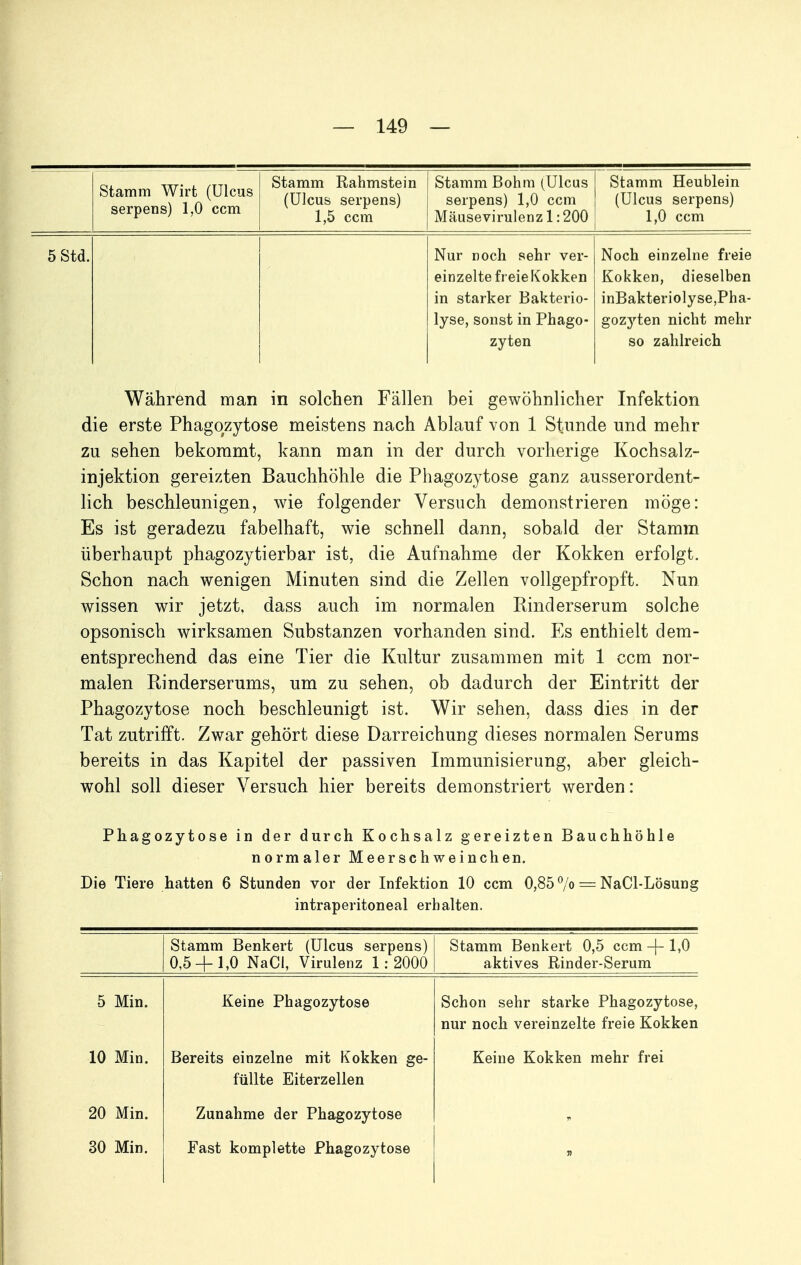 Stamm Wirt (Ulcus serpens) 1,0 ccm Stamm Rahmstein (Ulcus serpens) 1,5 ccm Stamm Böhm (Ulcus serpens) 1,0 ccm Mäusevirulenz 1:200 Stamm Heublein (Ulcus serpens) 1,0 ccm 5Std. Nur noch sehr ver- einzelte freief^okken in starker Bakterio- lyse, sonst in Phago- zyten Noch einzelne freie Kokken, dieselben inBakteriolyse,Pha- gozyten nicht mehr so zahlreich Während man in solchen Fallen bei gewöhnlicher Infektion die erste Phagozytose meistens nach Ablauf von 1 Stunde und mehr zu sehen bekommt, kann man in der durch vorherige Kochsalz- injektion gereizten Bauchhöhle die Phagozytose ganz ausserordent- lich beschleunigen, wie folgender Versuch demonstrieren möge: Es ist geradezu fabelhaft, wie schnell dann, sobald der Stamm überhaupt phagozytierbar ist, die Aufnahme der Kokken erfolgt. Schon nach wenigen Minuten sind die Zellen vollgepfropft. Nun wissen wir jetzt, dass auch im normalen Kinderserum solche opsonisch wirksamen Substanzen vorhanden sind. Es enthielt dem- entsprechend das eine Tier die Kultur zusammen mit 1 ccm nor- malen Rinderserums, um zu sehen, ob dadurch der Eintritt der Phagozytose noch beschleunigt ist. Wir sehen, dass dies in der Tat zutrifft. Zwar gehört diese Darreichung dieses normalen Serums bereits in das Kapitel der passiven Immunisierung, aber gleich- wohl soll dieser Versuch hier bereits demonstriert werden: Phagozytose in der durch Kochsalz gereizten Bauchhöhle normaler Meerschweinchen. Die Tiere hatten 6 Stunden vor der Infektion 10 ccm 0,85^0 = NaCl-Lösung intraperitoneal erhalten. Stamm Benkert (Ulcus serpens) 0,5 + 1,0 NaCI, Virulenz 1:2000 Stamm Benkert 0,5 ccm -|- 1,0 aktives Rinder-Serum 5 Min. Keine Phagozytose Schon sehr starke Phagozytose, nur noch vereinzelte freie Kokken 10 Min. Bereits einzelne mit Kokken ge- füllte Eiterzellen Keine Kokken mehr frei 20 Min. Zunahme der Phagozytose 30 Min. Fast komplette Phagozytose