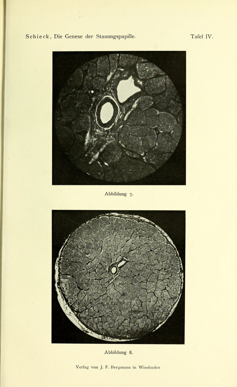 Abbildung 7. Abbildung 8.