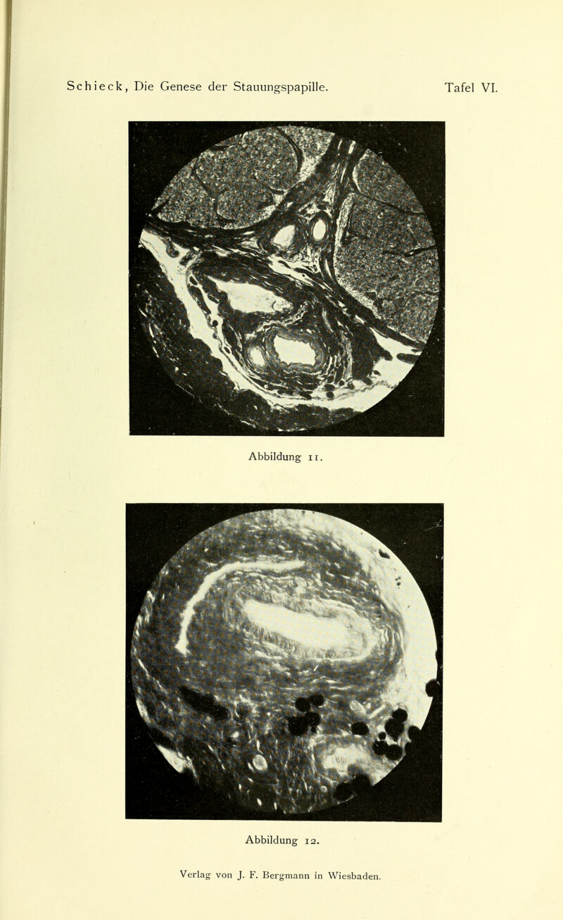 Abbildung n. Abbildung 12.