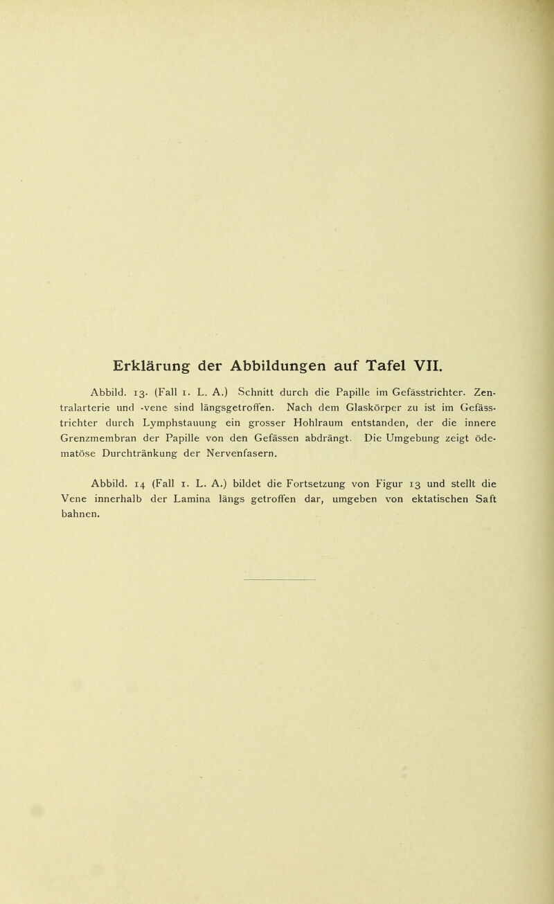 Abbild. 13. (Fall 1. L. A.) Schnitt durch die Papille im Gefässtrichter. Zen- tralarterie und -vene sind längsgetroffen. Nach dem Glaskörper zu ist im Gefäss- trichter durch Lymphstauung ein grosser Hohlraum entstanden, der die innere Grenzmembran der Papille von den Gefässen abdrängt. Die Umgebung zeigt öde- matöse Durchtränkung der Nervenfasern. Abbild. 14 (Fall 1. L. A.) bildet die Fortsetzung von Figur 13 und stellt die Vene innerhalb der Lamina längs getroffen dar, umgeben von ektatischen Saft bahnen.