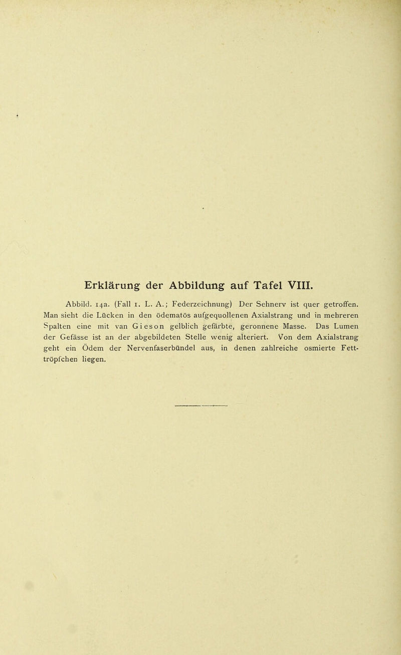 Abbild. 14a. (Fall 1. L. A.; Federzeichnung) Der Sehnerv ist quer getroffen. Man sieht die Lücken in den ödematös aufgequollenen Axialstrang und in mehreren Spalten eine mit van Gieson gelblich gefärbte, geronnene Masse. Das Lumen der Gefässe ist an der abgebildeten Stelle wenig alteriert. Von dem Axialstrang geht ein Ödem der Nervenfaserbündel aus, in denen zahlreiche osmierte Fett- tröpfchen liegen.