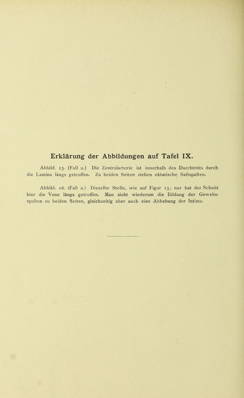Abbild. 15. (Fall 2.) Die Zentralarterie ist innerhalb des Durchtritts durch die Lamina längs getroffen. Zu beiden Seiten ziehen ektatische Saftspalten. Abbild. 16. (Fall 2.) Dieselbe Stelle, wie auf Figur 15; nur hat der Schnitt hier die Vene längs getroffen. Man sieht wiederum die Bildung der Gewebs- spalten zu beiden Seiten, gleichzeitig aber auch eine Abhebung der Intima.
