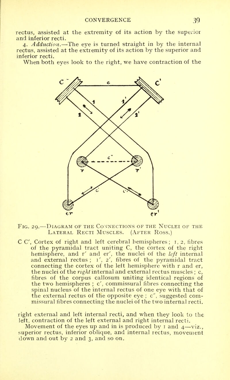 rectus, assisted at the extremity of its action by the superior and inferior recti, 4. Adduction.—The eye is turned straight in by the internal rectus, assisted at the extremity of its action by the superior and inferior recti. When both eyes look to the right, we have contraction of the Fig. 29.—Diagram of the Connections of the Nuclei of the Lateral Recti Muscles. (After Ross.) C C, Cortex of right and left cerebral hemispheres; i, 2, fibres of the pyramidal tract uniting C, the cortex of the right hemisphere, and r' and er', the nuclei of the left internal and external rectus ; i', 2', fibres of the pyramidal tract connecting the cortex of the left hemisphere with r and er, the nuclei of the vigJit internal and external rectus muscles ; c, fibres of the corpus callosum uniting identical regions of the two hemispheres ; c', commissural fibres connecting the spinal nucleus of the internal rectus of one eye with that of the external rectus of the opposite eye ; c, suggested com- missural fibres connecting the nuclei of the two internal recti. right external and left internal recti, and when they look to ihe left, contraction of the left external and right internal recti. Movement of the eyes up and in is produced by i and 4—viz., superior rectus, inferior oblique, and internal rectus, movement down and out by 2 and 3, and so on.