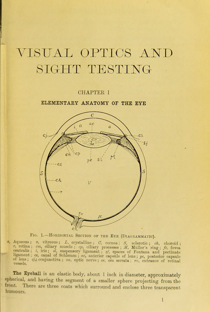 SIGHT TESTING CHAPTEE I ELEMENTARY ANATOMY OF THE EYE Fk.. 1.—Horizontal Section of the Eye (Diagrammatic). a, Aqueous; v, vitreous; L, crystalline; 0, coniea; 8, sclerotic ; eh, choroid ; r, retina ; cm, ciliary muscle ; ep, ciliary processes ; M, Miiller's ring ; fc, fovea centralis ; i, iris ; si, suspensory ligament ; sf, spaces of Fontana and pectinate ligament; cs, canal of Sehlemm ; ac, anterior capsule of lens; pc, posterior capsule of lens ; c/,, conjunctiva ; on, optic nerve; os, ora serrata; rr, entrance of retinal vessels. The Eyeball is an elastic body, about 1 inch in diameter, approximately spherical, and having the segment of a smaller sphere projecting from the front. There are three coats which surround and enclose three transparent humours.