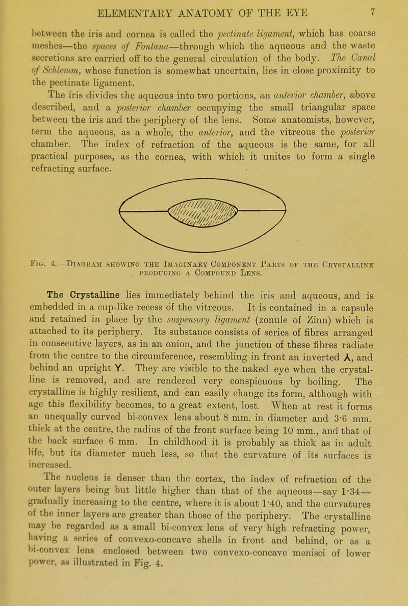 between the iris and cornea is called the pectinate ligament, which has coarse meshes—the spaces of Fontanel—through which the aqueous and the waste secretions are carried oft* to the general circulation of the body. The Caned of Schlemm, whose function is somewhat uncertain, lies in close proximity to the pectinate ligament. The iris divides the aqueous into two portions, an anterior chamber, above described, and a posterior chamber occupying the small triangular space between the iris and the periphery of the lens. Some anatomists, however, term the aqueous, as a whole, the anterior, and the vitreous the posterior chamber. The index of refraction of the aqueous is the same, for all practical purposes, as the cornea, with which it unites to form a single refracting surface. Fig. 4.—Diagram showing the Imaginary Component Parts of the Crystalline producing a compound lens. The Crystalline lies immediately behind the iris and aqueous, and is embedded in a cup-like recess of the vitreous. It is contained in a capsule and retained in place by the suspensory ligament (zonule of Zinn) which is attached to its periphery. Its substance consists of series of fibres arranged in consecutive layers, as in an onion, and the junction of these fibres radiate from the centre to the circumference, resembling in front an inverted A, and behind an upright Y. They are visible to the naked eye when the crystal- line is removed, and are rendered very conspicuous by boiling. The crystalline is highly resilient, and can easily change its form, although with age this flexibility becomes, to a great extent, lost. When at rest it forms an unequally curved bi-convex lens about 8 mm. in diameter and 3-6 mm. thick at the centre, the radius of the front surface being 10 mm., and that of the back surface 6 mm. In childhood it is probably as thick as in adult life, but its diameter much less, so that the curvature of its surfaces is increased. The nucleus is denser than the cortex, the index of refraction of the outer layers being but little higher than that of the aqueous—say 1-34— gradually increasing to the centre, where it is about 1-40, and the curvatures of the inner layers are greater than those of the periphery. The crystalline may be regarded as a small bi-convex lens of very high refracting power, having a series of convexo-concave shells in front and behind, or as a bi-convex lens enclosed between two convexo-concave menisci of lower power, as illustrated in Fig. 4.