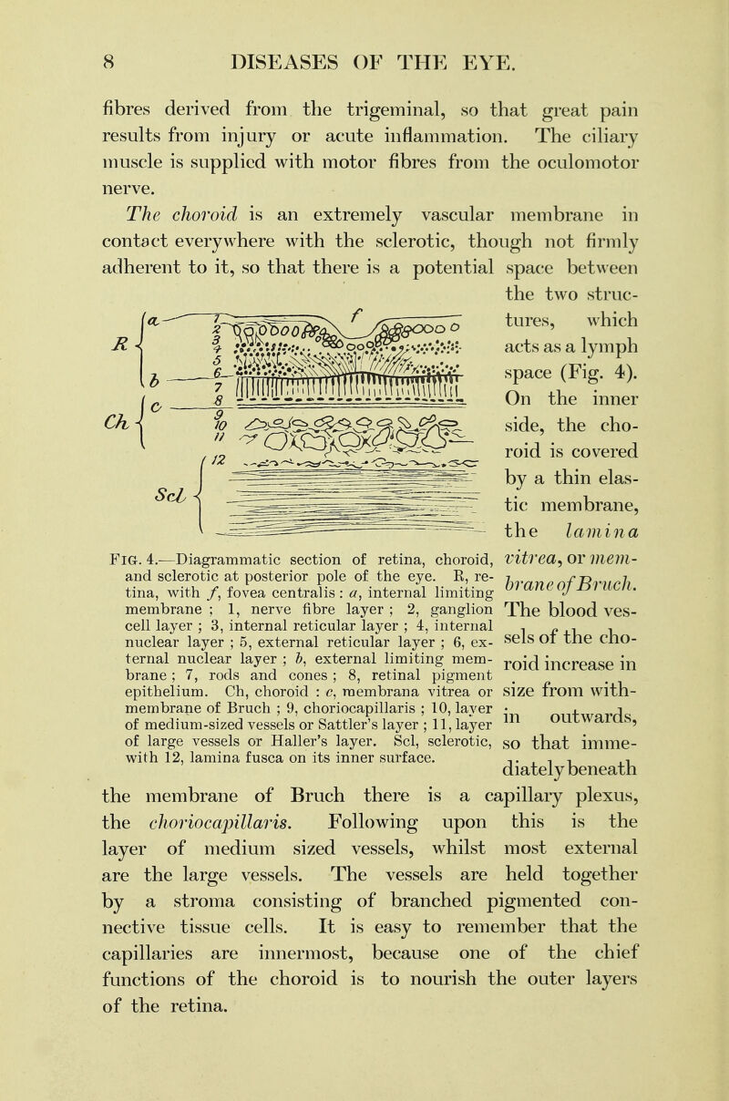 fibres derived from the trigeminal, so that great pain results from injury or acute inflammation. The ciliary muscle is supplied with motor fibres from the oculomotor nerve. The choroid is an extremely vascular membrane in contact everywhere with the sclerotic, though not firmly adherent to it, so that there is a potential space between the two struc- '  tures, which acts as a lymph space (Fig. 4). On the inner side, the cho- roid is covered by a thin elas- tic membrane, the lamina Fig. 4.—Diagrammatic section of retina, choroid, vitrea, or mem- and sclerotic at posterior pole of the eye. R, re- hvnnpnf~Rvurh tina, with /, fovea centralis : a, internal limiting uiafLL UJ IDI iltn- membrane ; 1, nerve fibre layer ; 2, ganglion The blood ves- cell layer ; 3, internal reticular layer ; 4, internal nuclear layer ; 5, external reticular layer ; 6, ex- ternal nuclear layer ; external limiting mem- brane ; 7, rods and cones ; 8, retinal pigment epithelium. Ch, choroid : c, raembrana vitrea or size from with membrane of Bruch ; 9, choriocapillaris ; 10, layer of medium-sized vessels or Sattler's layer ; 11, layer of large vessels or Haller's layer. Scl, sclerotic, with 12, lamina fusca on its inner surface. sels of the cho- roid increase in in outwards, so that imme- diately beneath the membrane of Bruch there is a capillary plexus, the choriocapillaris. Following upon this is the layer of medium sized vessels, whilst most external are the large vessels. The vessels are held together by a stroma consisting of branched pigmented con- nective tissue cells. It is easy to remember that the capillaries are innermost, because one of the chief functions of the choroid is to nourish the outer layers of the retina.