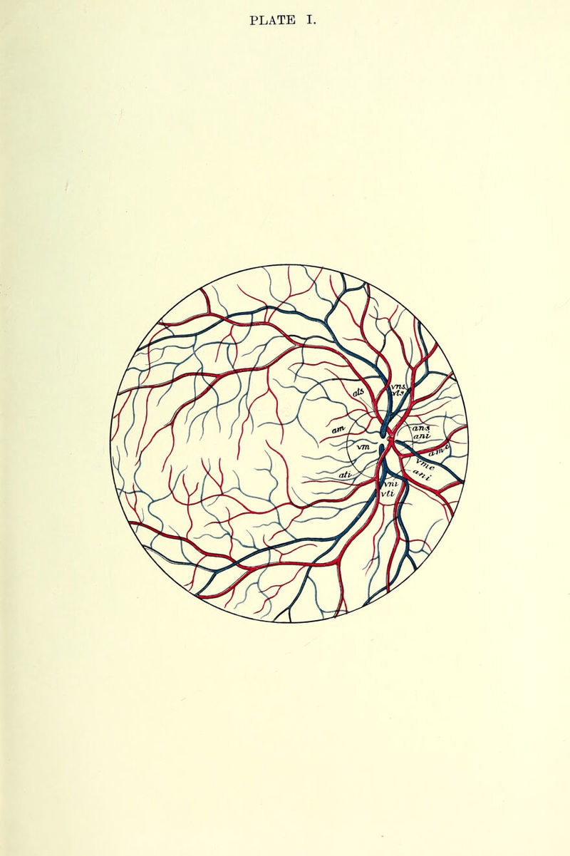 PLATE I.