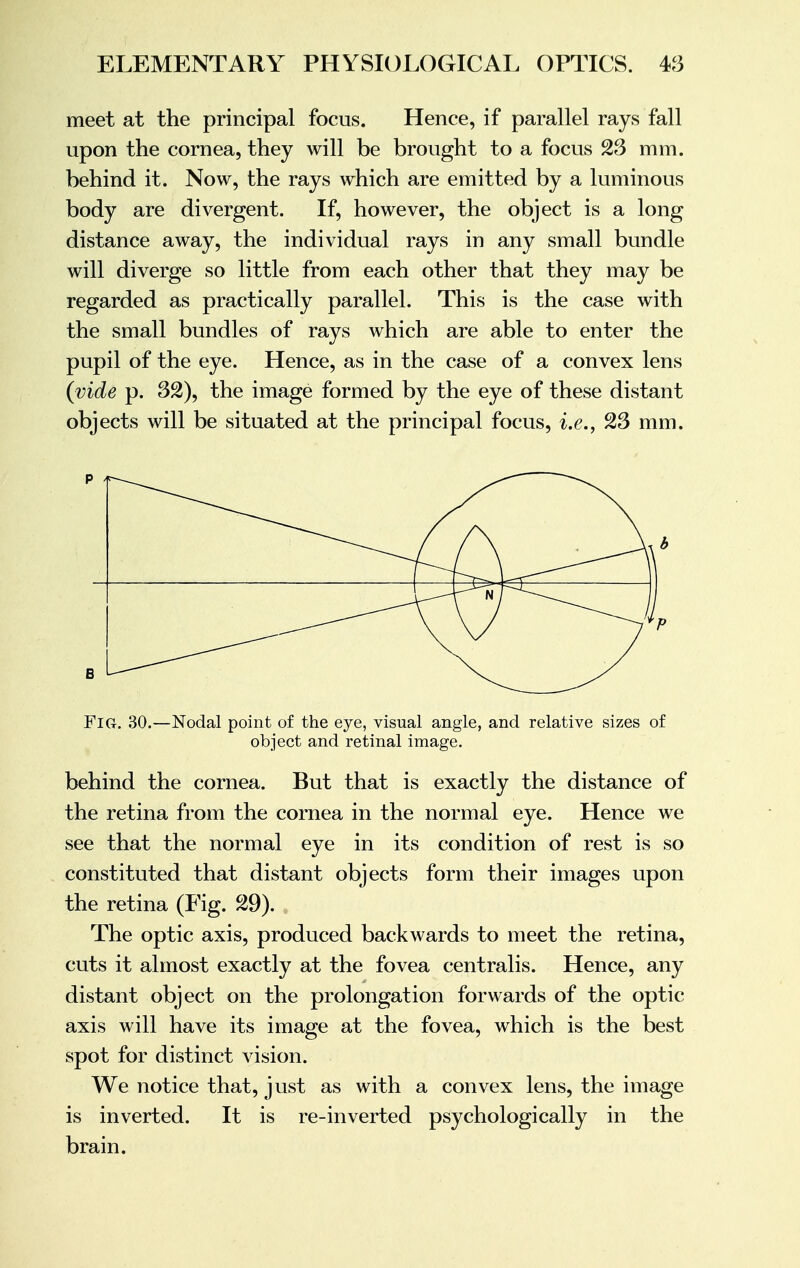 meet at the principal focus. Hence, if parallel rays fall upon the cornea, they will be brought to a focus 23 mm. behind it. Now, the rays which are emitted by a luminous body are divergent. If, however, the object is a long distance away, the individual rays in any small bundle will diverge so little from each other that they may be regarded as practically parallel. This is the case with the small bundles of rays which are able to enter the pupil of the eye. Hence, as in the case of a convex lens (vide p. 32), the image formed by the eye of these distant objects will be situated at the principal focus, i.e., 23 mm. > , \ Fig. 30.—Nodal point of the eye, visual angle, and relative sizes of object and retinal image. behind the cornea. But that is exactly the distance of the retina from the cornea in the normal eye. Hence we see that the normal eye in its condition of rest is so constituted that distant objects form their images upon the retina (Fig. 29). The optic axis, produced backwards to meet the retina, cuts it almost exactly at the fovea centralis. Hence, any distant object on the prolongation forwards of the optic axis will have its image at the fovea, which is the best spot for distinct vision. We notice that, just as with a convex lens, the image is inverted. It is re-inverted psychologically in the brain.