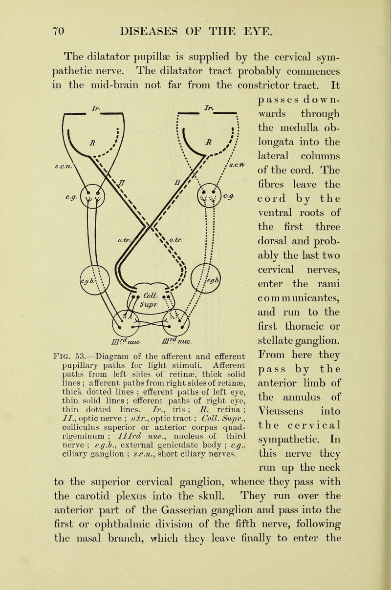 s.cn ! S.C7V The dilatator pupillae is supplied by the cervical sym- pathetic nerve. The dilatator tract probably commences in the mid-brain not far from the constrictor tract. It passes down- wards through the medulla ob- longata into the lateral columns of the cord. The fibres leave the cord by the ventral roots of the first three dorsal and prob- ably the last two cervical nerves, enter the rami c o m m unicantes, and run to the first thoracic or stellate ganglion. From here they pass by the anterior limb of the annulus of Vieussens into the cervical sympathetic. In this nerve they run up the neck to the superior cervical ganglion, whence they pass with the carotid plexus into the skull. They run over the anterior part of the Gasserian ganglion and pass into the first or ophthalmic division of the fifth nerve, following the nasal branch, which they leave finally to enter the jut*. TUIO 71UC. Fig. 53.—Diagram of the afferent and efferent pupillary paths for light stimuli. Afferent paths from left sides of retinae, thick solid lines ; afferent paths from right sides of retinas, thick dotted lines ; efferent paths of left eye, thin solid lines; efferent paths of right eye, thin dotted lines. Jr., iris ; i?, retina ; II, optic nerve ; o.tr., optic tract; Coll. Supr., colliculus superior or anterior corpus quad- rigeminum ; Illrd nue., nucleus of third nerve ; e.g.I)., external geniculate body ; e.g., ciliary ganglion ; s.cm., short ciliary nerves.