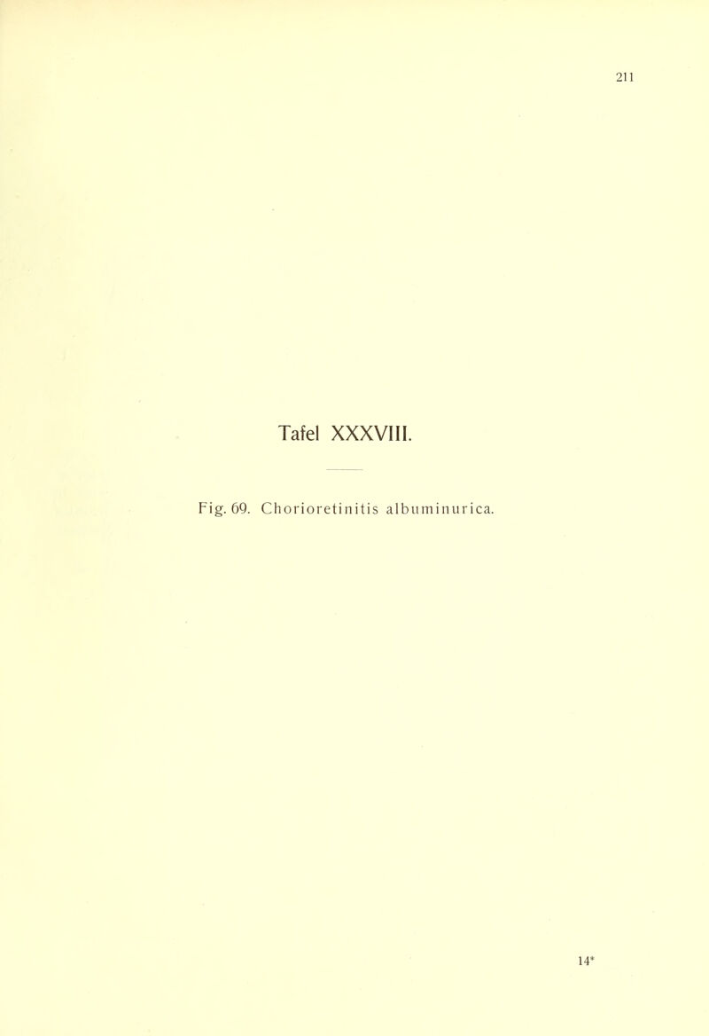 Tafel XXXVIII. Fig. 69. Chorioretinitis albuminurica. 14*
