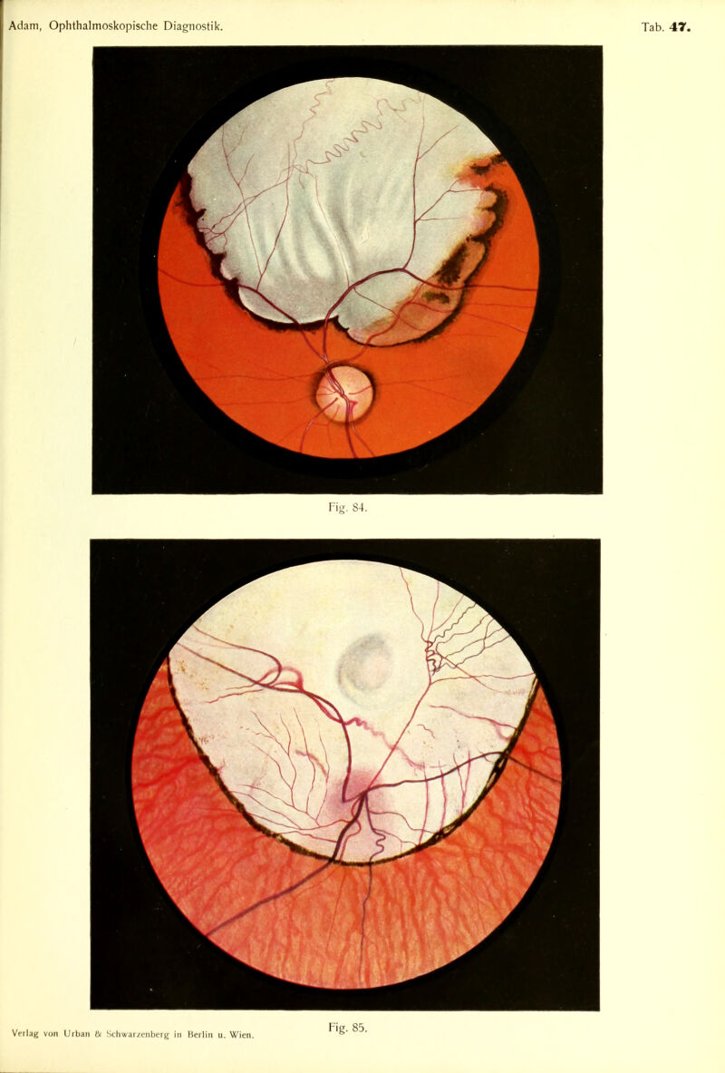 Fig. 85.