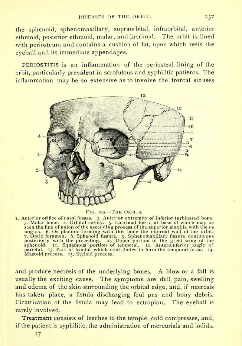 the sphenoid, sphenomaxillary, supraorbital, infraorbital, anterior ethmoid, posterior ethmoid, malar, and lacrimal. The orbit is lined with periosteum and contains a cushion of fat, upon which rests the eyeball and its immediate appendages. periostitis is an inflammation of the periosteal lining of the orbit, particularly prevalent in scrofulous and syphilitic patients. The inflammation may be so extensive as to involve the frontal sinuses Fig. 109.—The Orbits. 1. Anterior orifice of nasal fossas. 2. Anterior extremity of inferior turbinated bone. 3. Malar bone. 4. Orbital cavity. 5. Lacrimal fossa, at base of which may be seen the line of union of the ascending process of the superior maxilla with the os unguis. 6. Os planum, forming with this bone the internal wall of the orbit. 7. Optic foramen. 8. Sphenoid fissure. 9. Sphenomaxillary fissure, continuous posteriorly with the preceding. 10. Upper portion of the great wing of the sphenoid. 11. Squamous portion of temporal. 12. Anteroinferior angle of parietal. 13. Part of frontal which contributes to form the temporal fossa. 14. Mastoid process. 15. Styloid process. and produce necrosis of the underlying bones. A blow or a fall is usually the exciting cause. The symptoms are dull pain, swelling and edema of the skin surrounding the orbital edge, and, if necrosis has taken place, a fistula discharging foul pus and bony debris. Cicatrization of the fistula may lead to ectropion. The eyeball is rarely involved. Treatment consists of leeches to the temple, cold compresses, and, if the patient is syphilitic, the administration of mercurials and iodids. 17