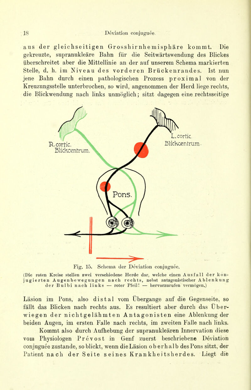 ans der gleichseitigen Grosshirnhemisphäre kommt. Die gekreuzte, supranukleäre Bahn für die Seitwärtswendung des Blickes überschreitet aber die Mittellinie an der auf unserem Schema markierten Stelle, d. h. im Niveau des vorderen Brückenrandes. Ist nun jene Bahn durch einen pathologischen Prozess proximal von der Kreuzungsstelle unterbrochen, so wird, angenommen der Herd liege rechts, die Blickwendung nach links unmöglich; sitzt dagegen eine rechtsseitige Fig. 15. Schema der Deviation conjuguee. (Die roten Kreise stellen zwei verschiedene Herde dar, welche einen Ausfall der kon- jugierten Augenbewegungen nach rechts, nebst antagonistischer Ablenkung der Bulbi nach links — roter Pfeil! — hervorzurufen vermögen.) Läsion im Pons, also distal vom Übergange auf die Gegenseite, so fällt das Blicken nach rechts aus. Es resultiert aber durch das Über- wiegen der nichtgelähmten Antagonisten eine Ablenkung der beiden Augen, im ersten Falle nach rechts, im zweiten Falle nach links. Kommt also durch Aufhebung der supranukleären Innervation diese vom Physiologen Prevost in Genf zuerst beschriebene Deviation conjuguee zustande, so blickt, wenn die Läsion oberhalb des Pons sitzt, der Patient nach der Seite seines Krankheitsherdes. Liegt die