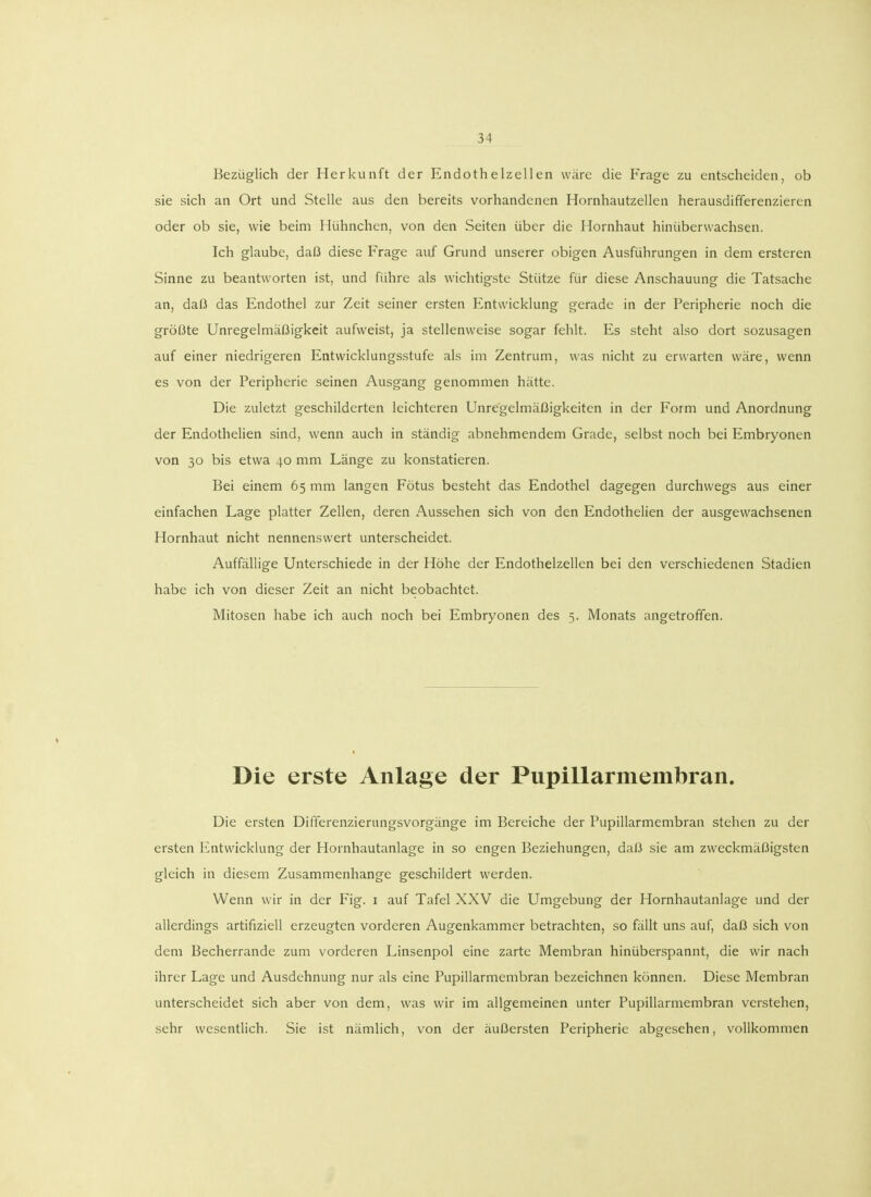 Bezüglich der Herkunft der Endothelzellen wäre die Frage zu entscheiden, ob sie sich an Ort und Stelle aus den bereits vorhandenen Hornhautzellen herausdifferenzieren oder ob sie, wie beim Hühnchen, von den Seiten über die Hornhaut hinüberwachsen. Ich glaube, daß diese Frage auf Grund unserer obigen Ausführungen in dem ersteren Sinne zu beantworten ist, und führe als wichtigste Stütze für diese Anschauung die Tatsache an, daß das Endothel zur Zeit seiner ersten Entwicklung gerade in der Peripherie noch die größte Unregelmäßigkeit aufweist, ja stellenweise sogar fehlt. Es steht also dort sozusagen auf einer niedrigeren Entwicklungsstufe als im Zentrum, was nicht zu erwarten wäre, wenn es von der Peripherie seinen Ausgang genommen hätte. Die zuletzt geschilderten leichteren Unregelmäßigkeiten in der Form und Anordnung der Endothelien sind, wenn auch in ständig abnehmendem Grade, selbst noch bei Embryonen von 30 bis etwa 40 mm Länge zu konstatieren. Bei einem 65 mm langen Fötus besteht das Endothel dagegen durchwegs aus einer einfachen Lage platter Zellen, deren Aussehen sich von den Endothelien der ausgewachsenen Hornhaut nicht nennenswert unterscheidet. Auffällige Unterschiede in der Höhe der Endothelzellen bei den verschiedenen Stadien habe ich von dieser Zeit an nicht beobachtet. Mitosen habe ich auch noch bei Embryonen des 5. Monats angetroffen. Die erste Anlage der Pupillarmembran. Die ersten Differenzierungsvorgänge im Bereiche der Pupillarmembran stehen zu der ersten Entwicklung der Hornhautanlage in so engen Beziehungen, daß sie am zweckmäßigsten gleich in diesem Zusammenhange geschildert werden. Wenn wir in der Fig. 1 auf Tafel XXV die Umgebung der Hornhautanlage und der allerdings artifiziell erzeugten vorderen Augenkammer betrachten, so fällt uns auf, daß sich von dem Becherrande zum vorderen Linsenpol eine zarte Membran hinüberspannt, die wir nach ihrer Lage und Ausdehnung nur als eine Pupillarmembran bezeichnen können. Diese Membran unterscheidet sich aber von dem, was wir im allgemeinen unter Pupillarmembran verstehen, sehr wesentlich. Sie ist nämlich, von der äußersten Peripherie abgesehen, vollkommen